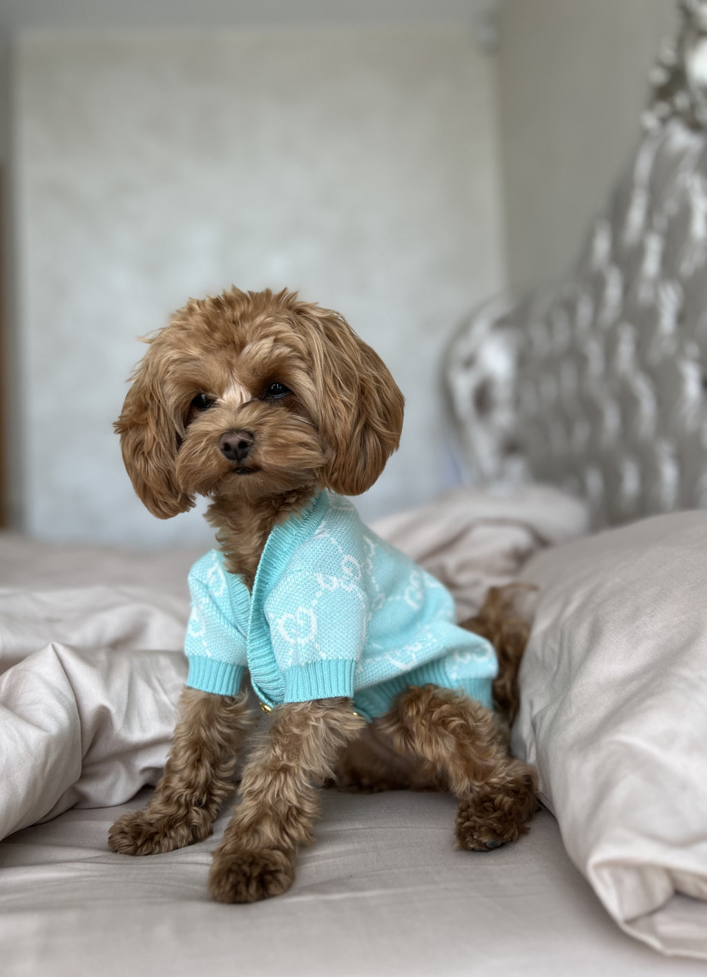 Turquoise cardigan with Gucci print