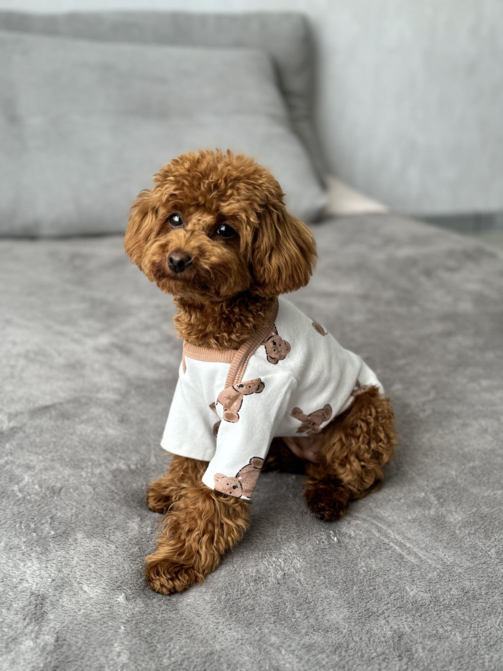 White T-shirt with Teddy print