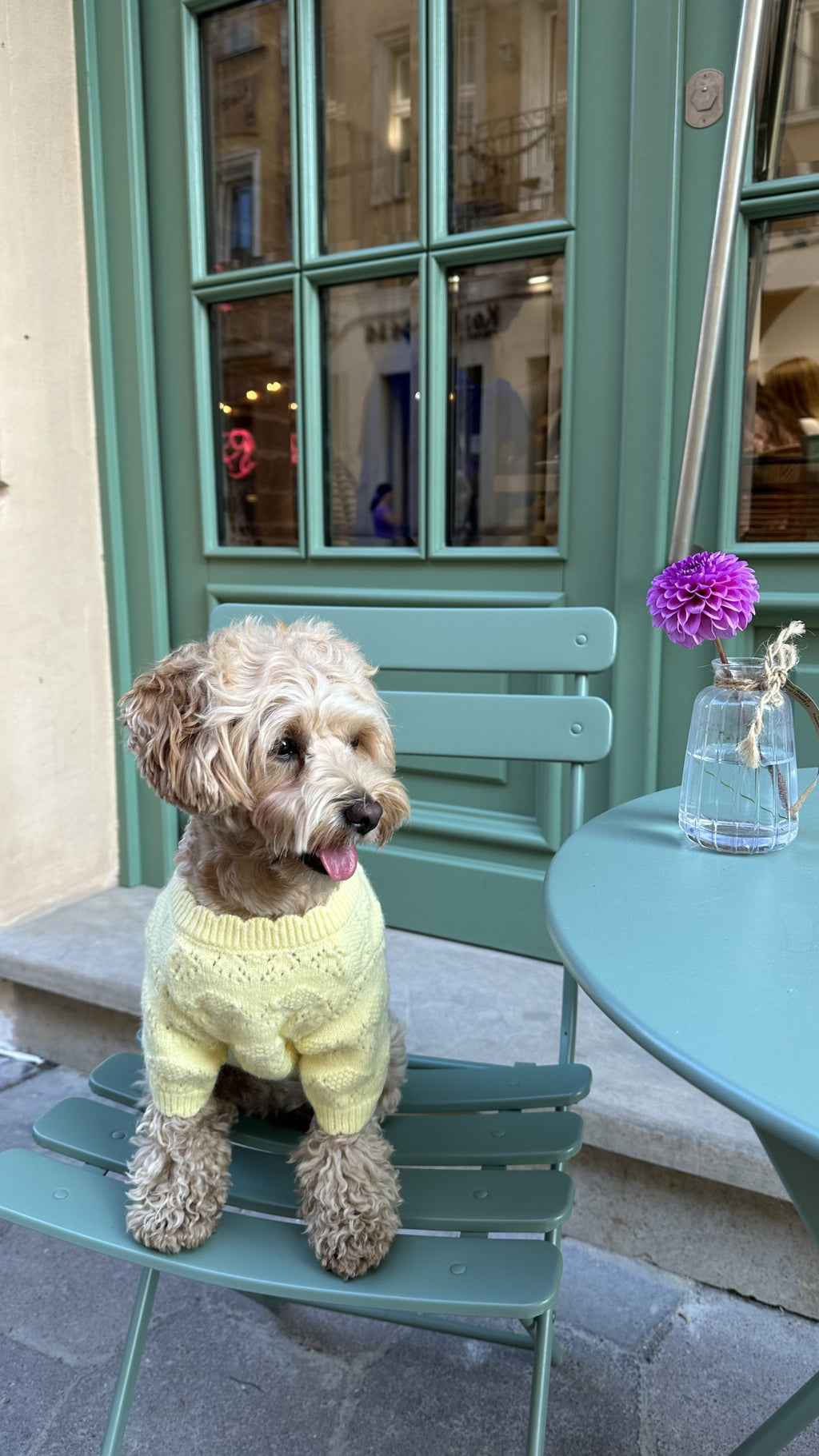 Светр жовтого кольору з ґудзиками на спинці