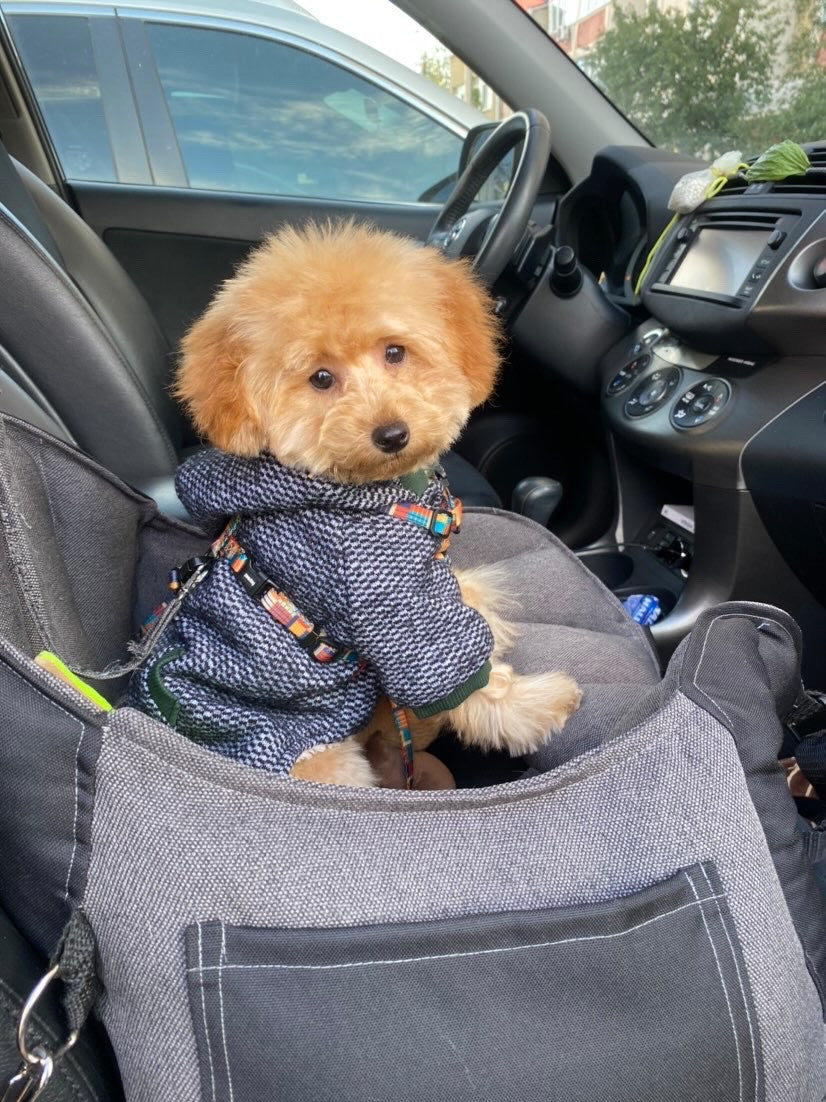 Комбінезон сірого кольору Design