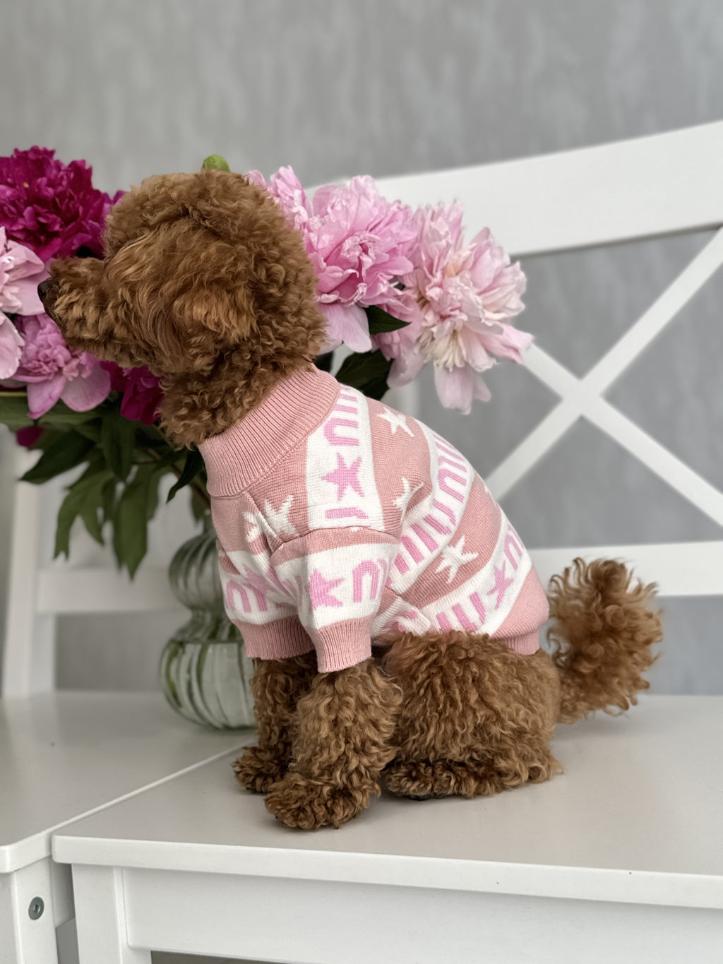 Pink sweater with Miu Miu print