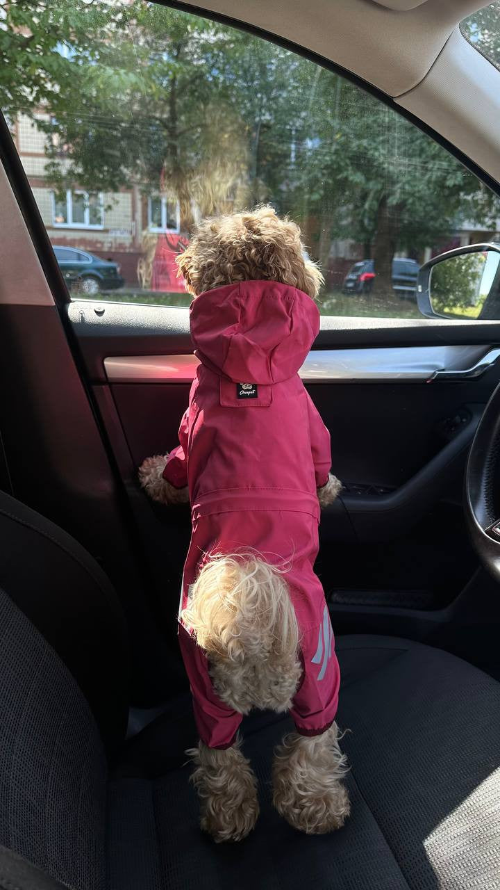 Cheepet raspberry raincoat