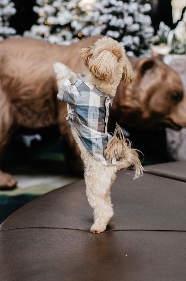 Сорочка блакитно-бежевого кольору Smart Casual