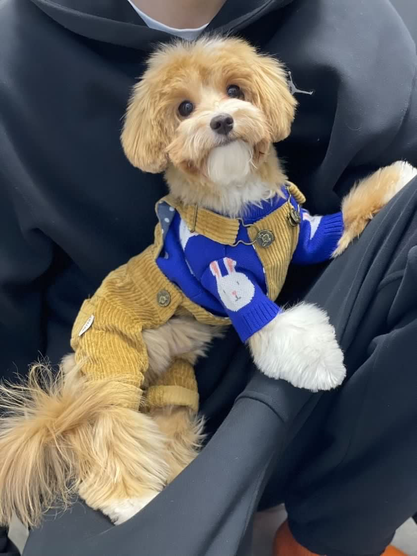 Штани бежевого кольору Walking