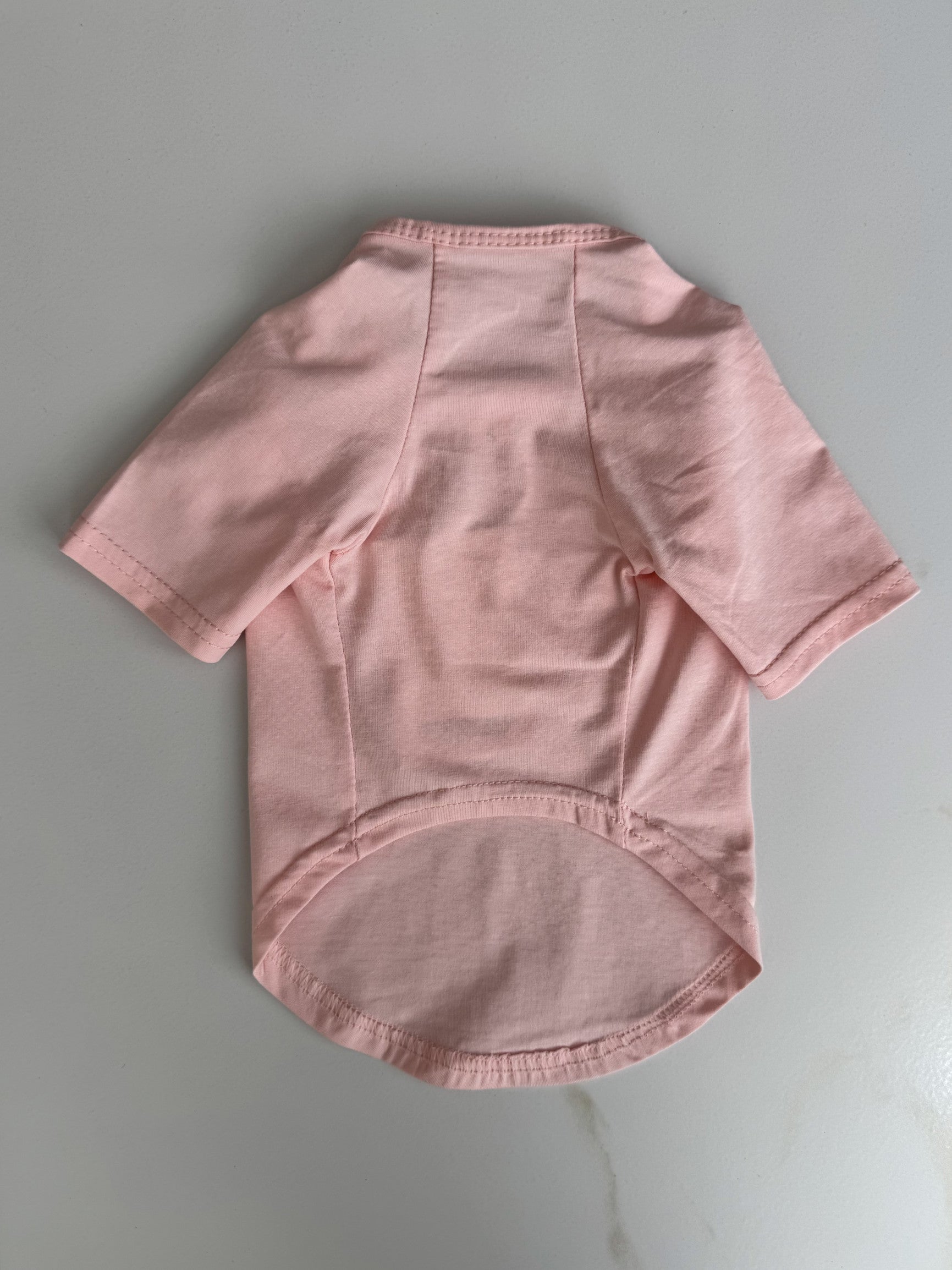 Футболка рожевого кольору з принтом Dior Paris