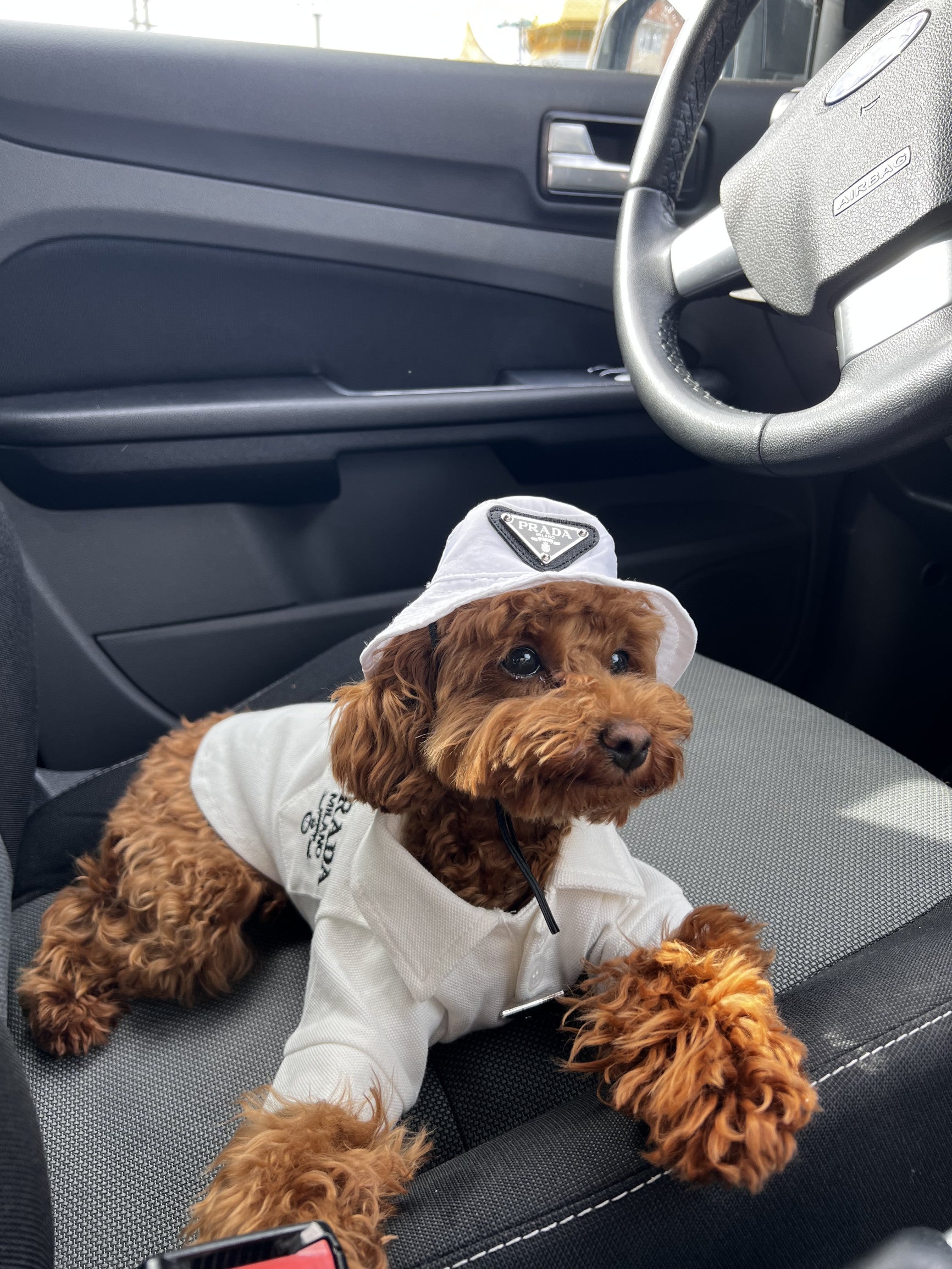 Панамка білого кольору Prada