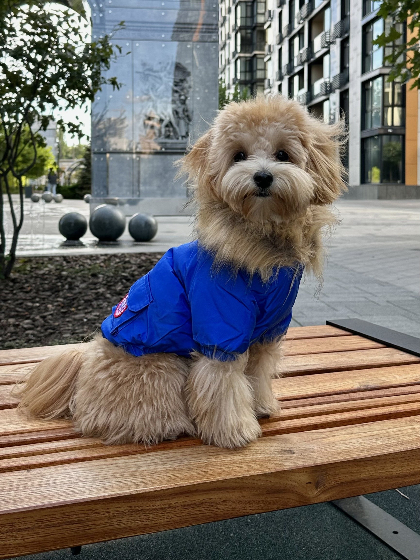 Куртка-парка синього кольору Cheepet