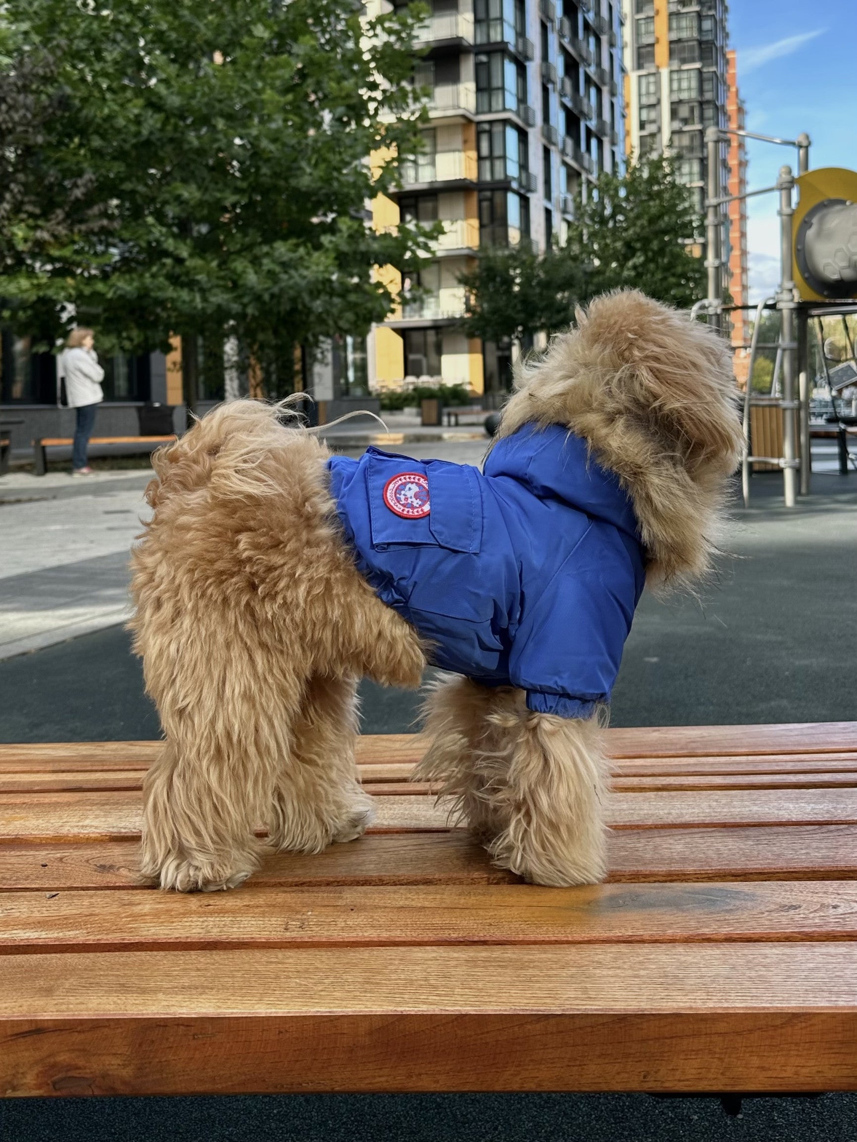 Куртка-парка синього кольору Cheepet