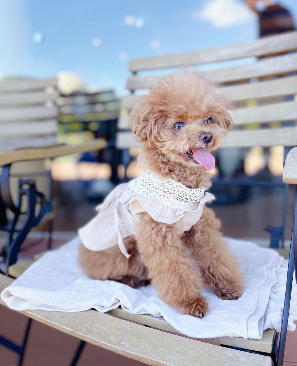 Beige linen dress Provence