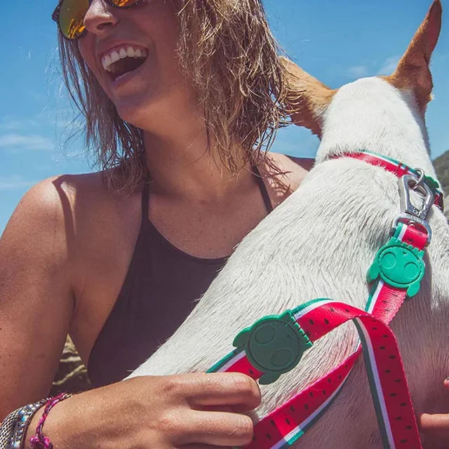 Повідець для собак Zee.Dog - Lola Leash