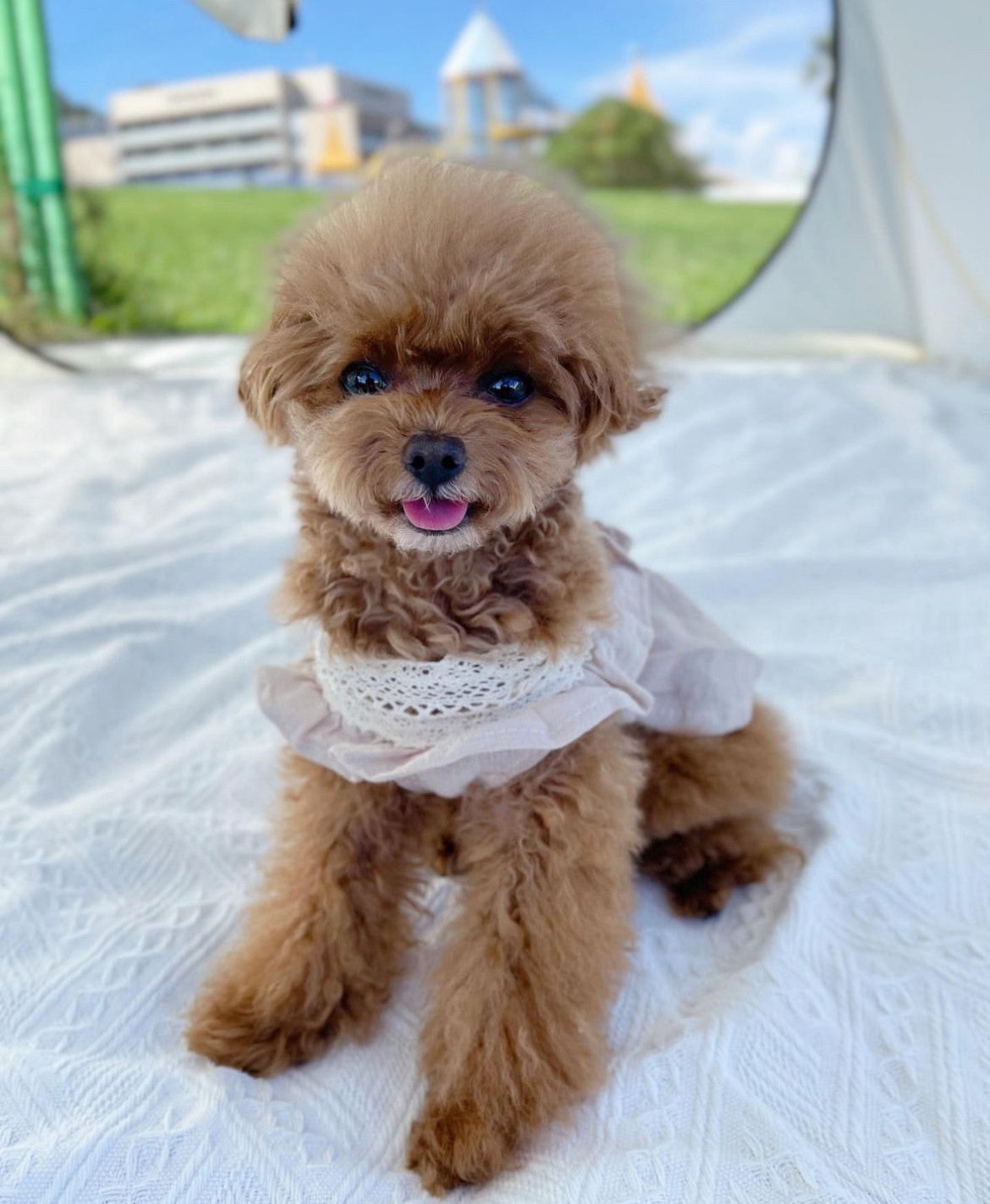 Сукня з льону бежевого кольору Provence