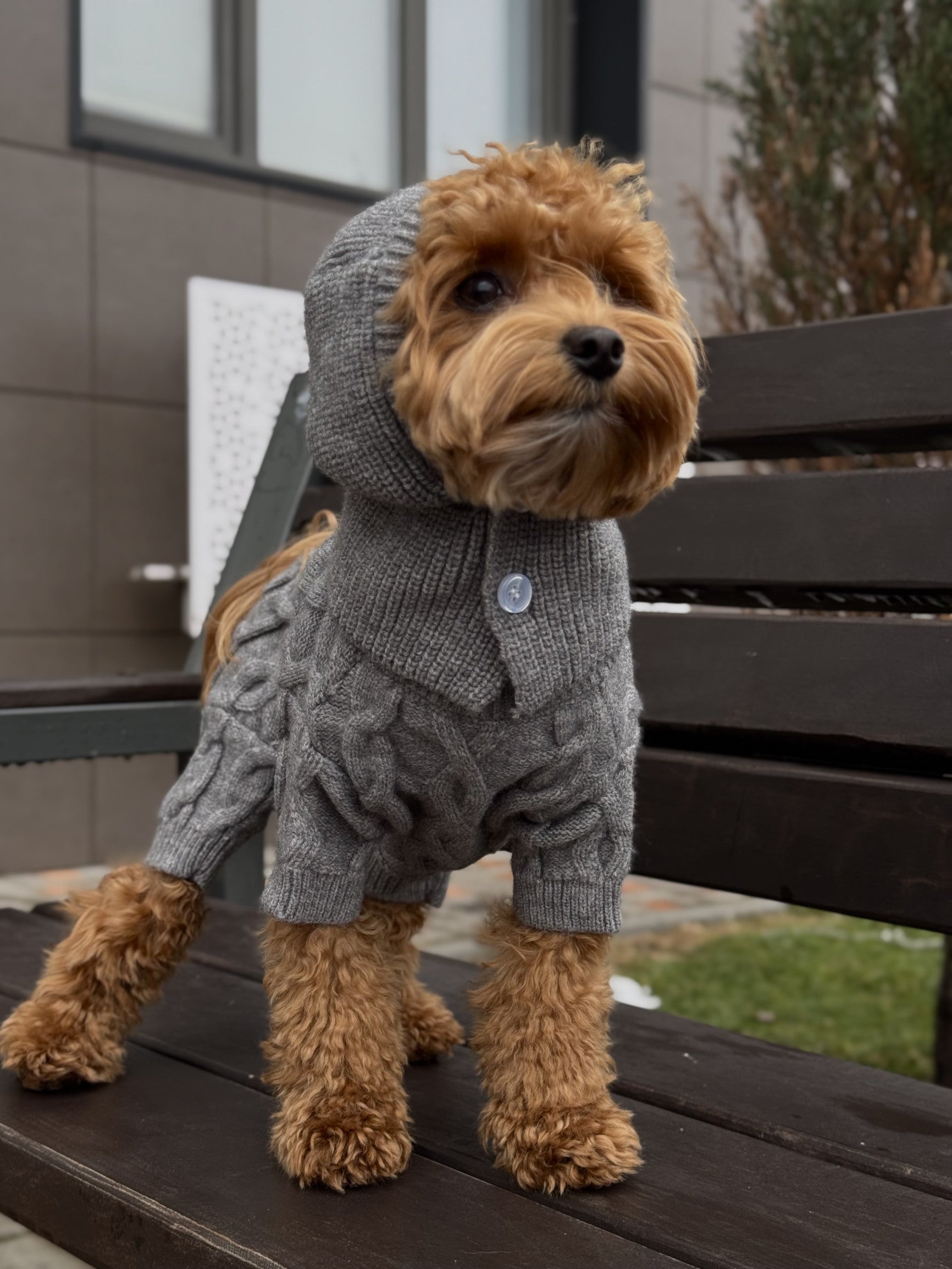 Комбінезон сірого кольору Knit Mood