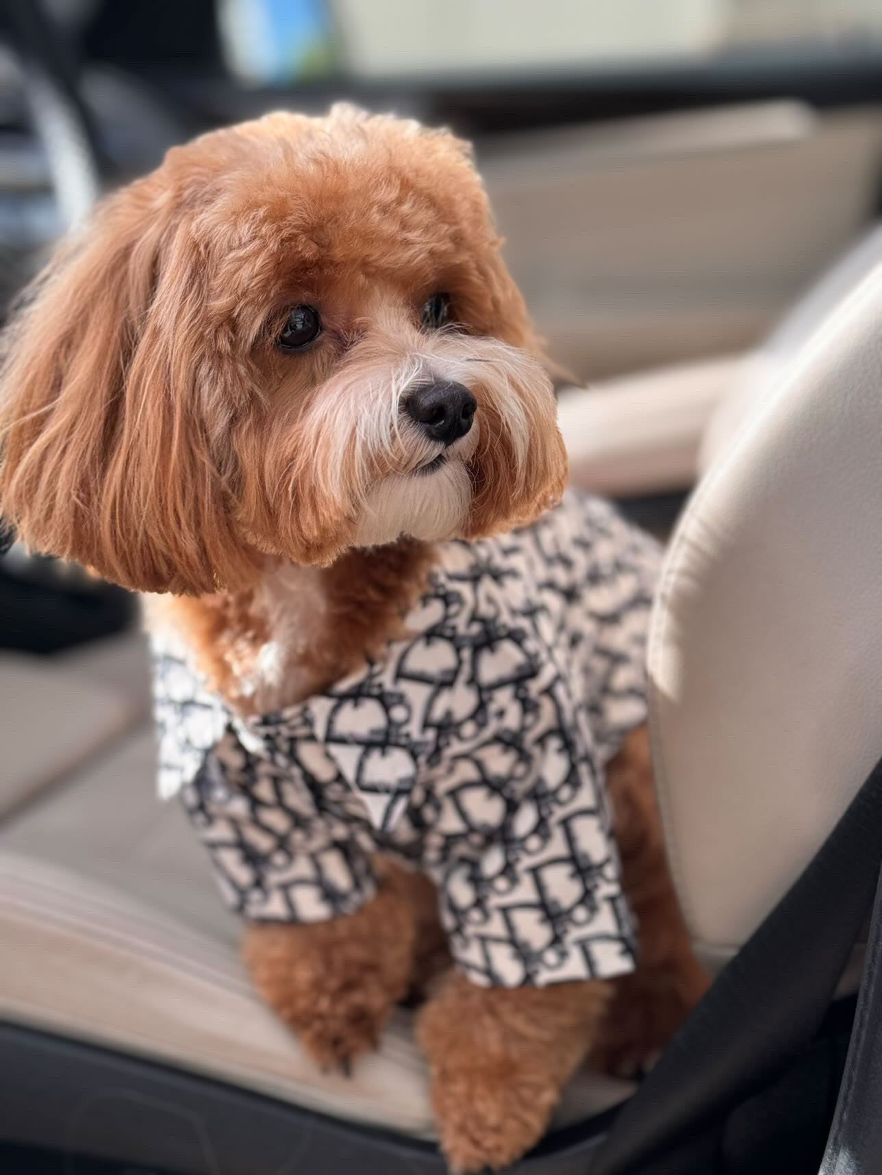 Сорочка білого кольору з чорним принтом Dior