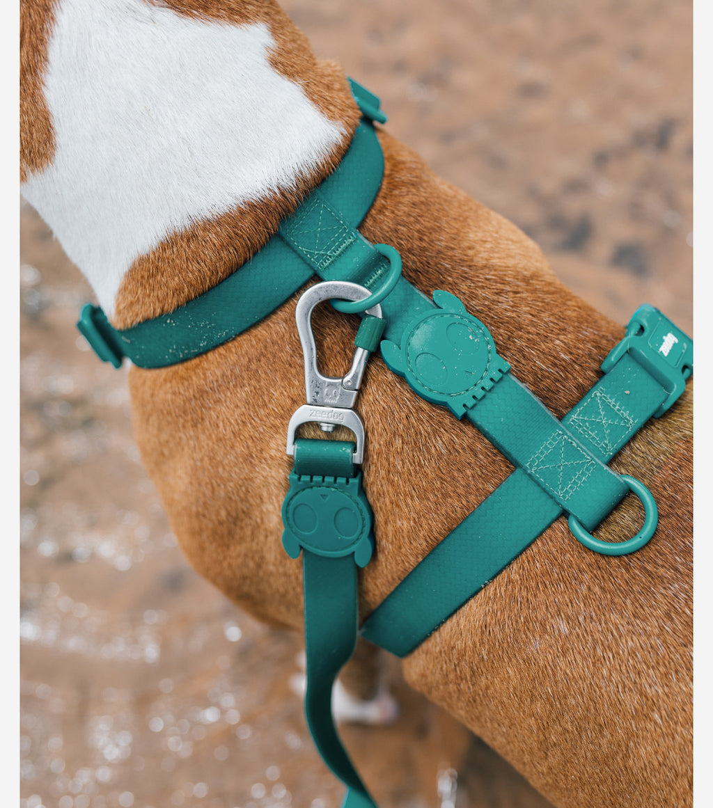 Шлея для собак Zee.Dog - Neo Pro H-Harness Amazonia