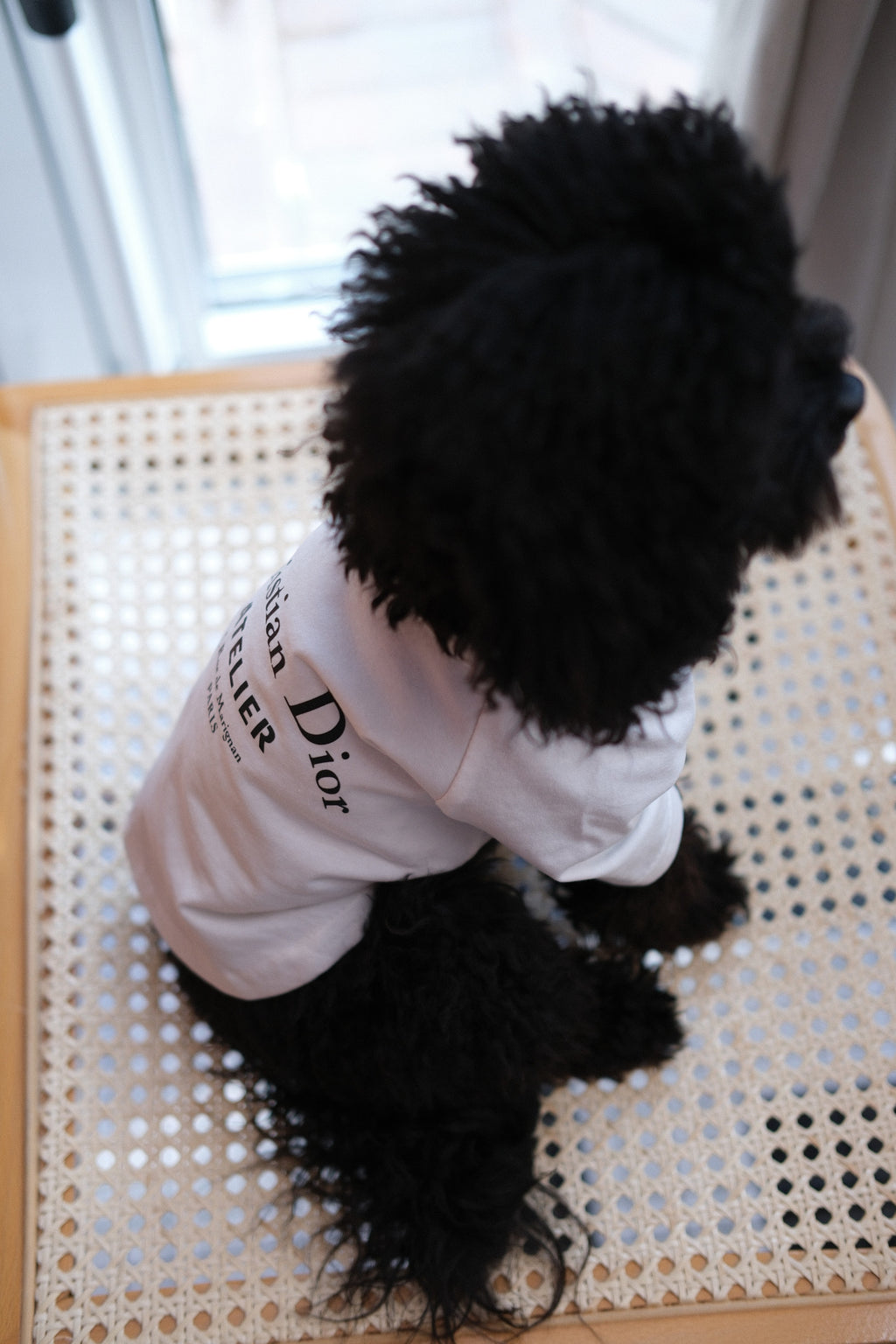 White T-shirt with Christian Dior Atelier Essence print