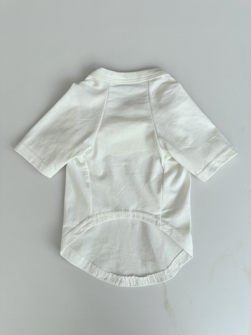 White T-shirt with Christian Dior Atelier Essence print