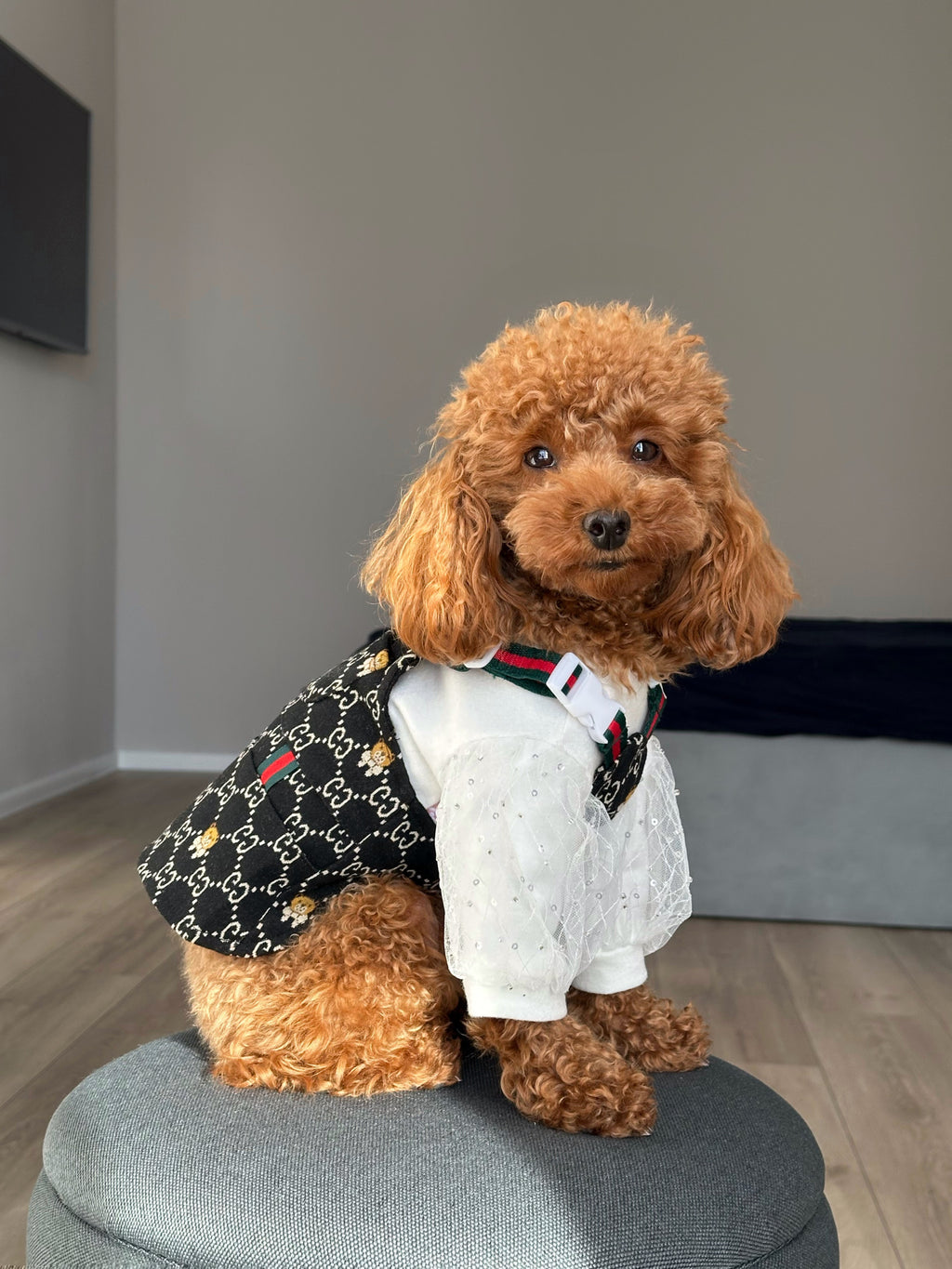 Black sundress with GG Bear print