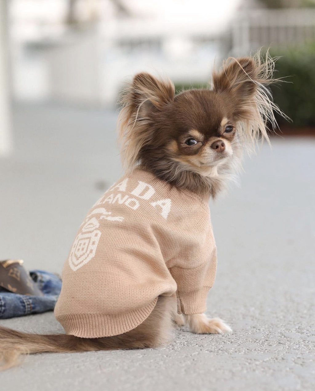 Светр бежевого кольору з принтом Prada