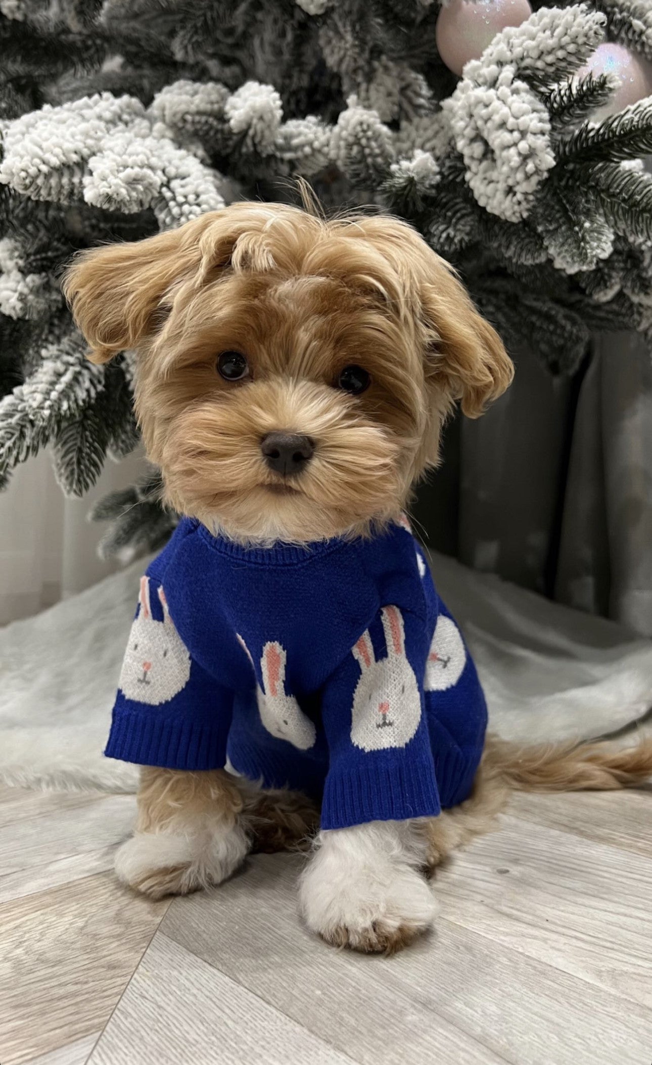 Светр синього кольору з принтом Зайці