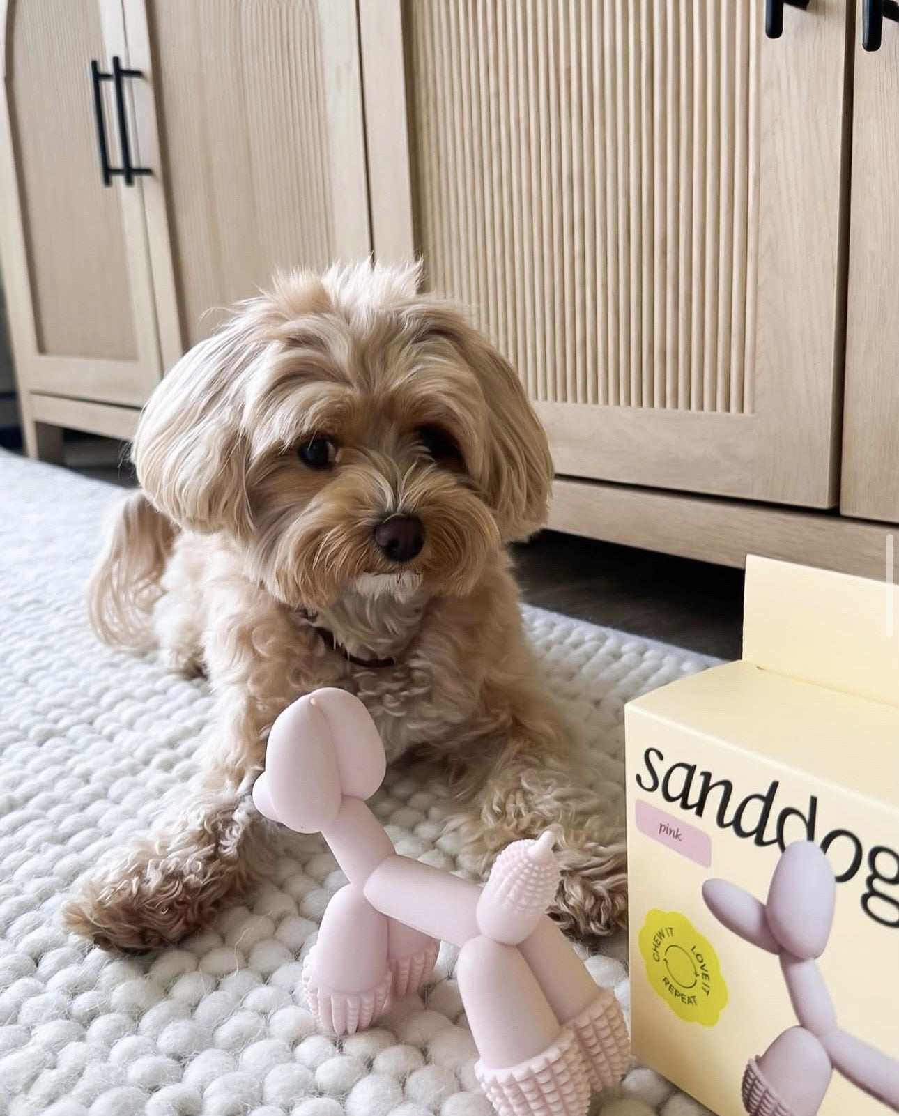 Іграшка Sanddog Ballon dog