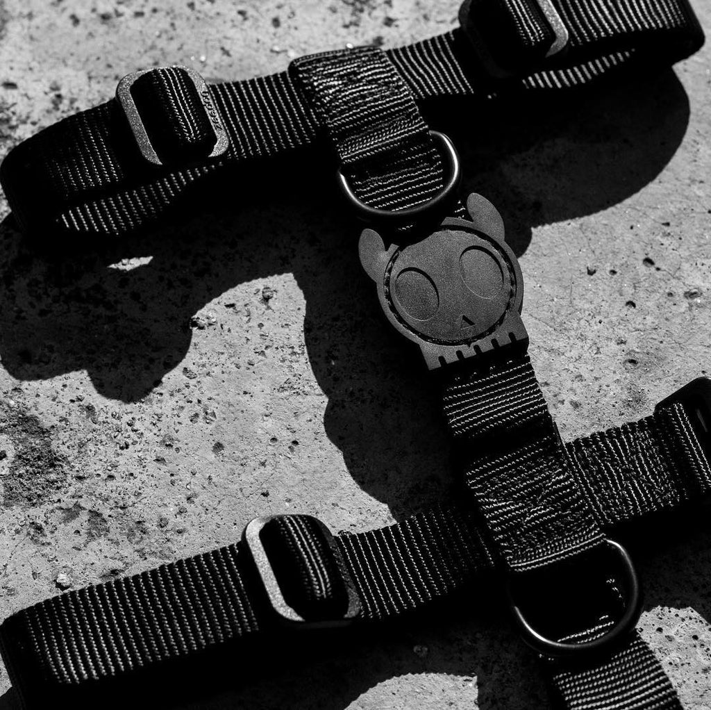 Шлея для собак Zee.Dog - Gotham H-Harness