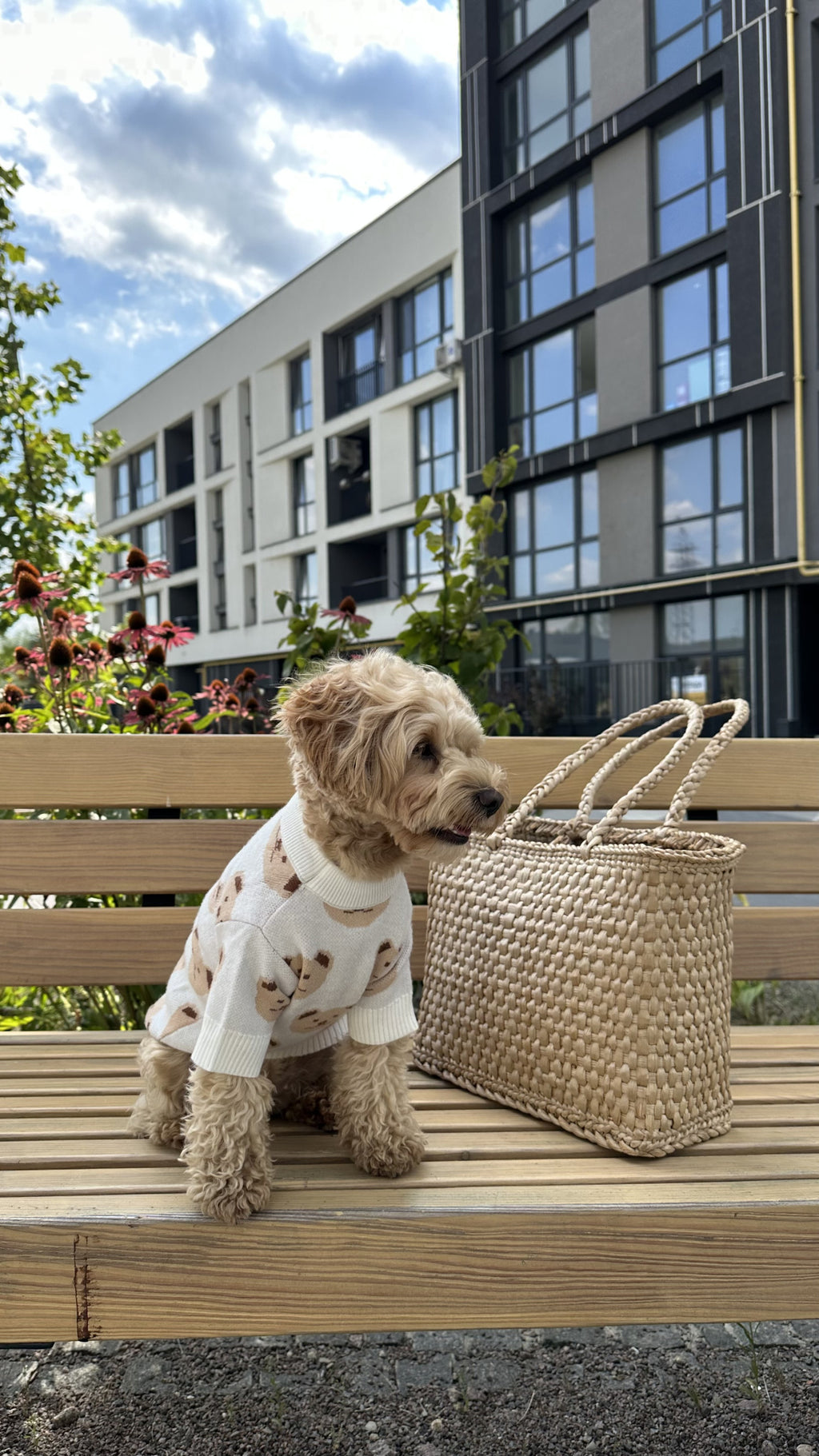 Светр білого кольору з принтом Light bear