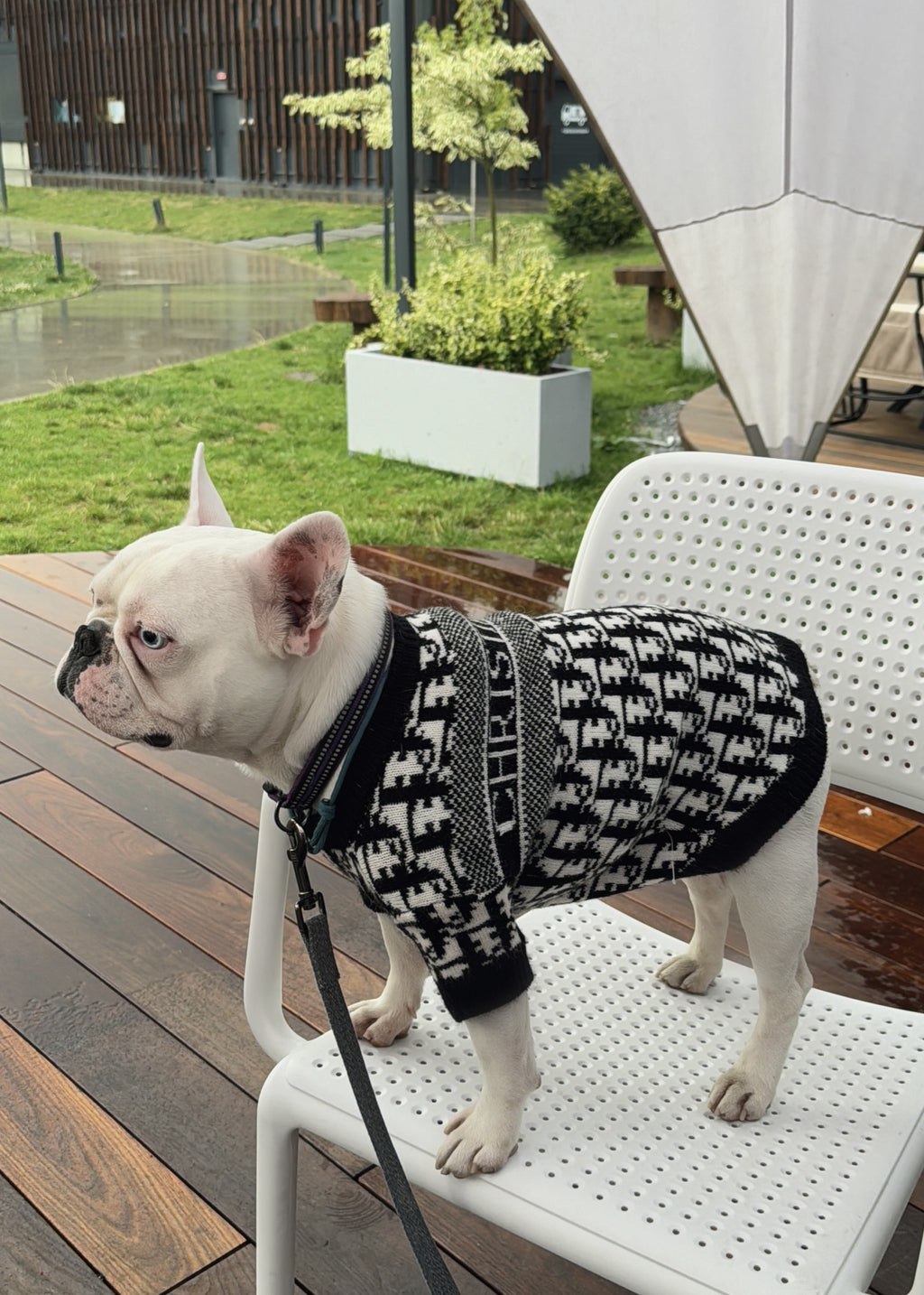 Светр чорного кольору з принтом Dior