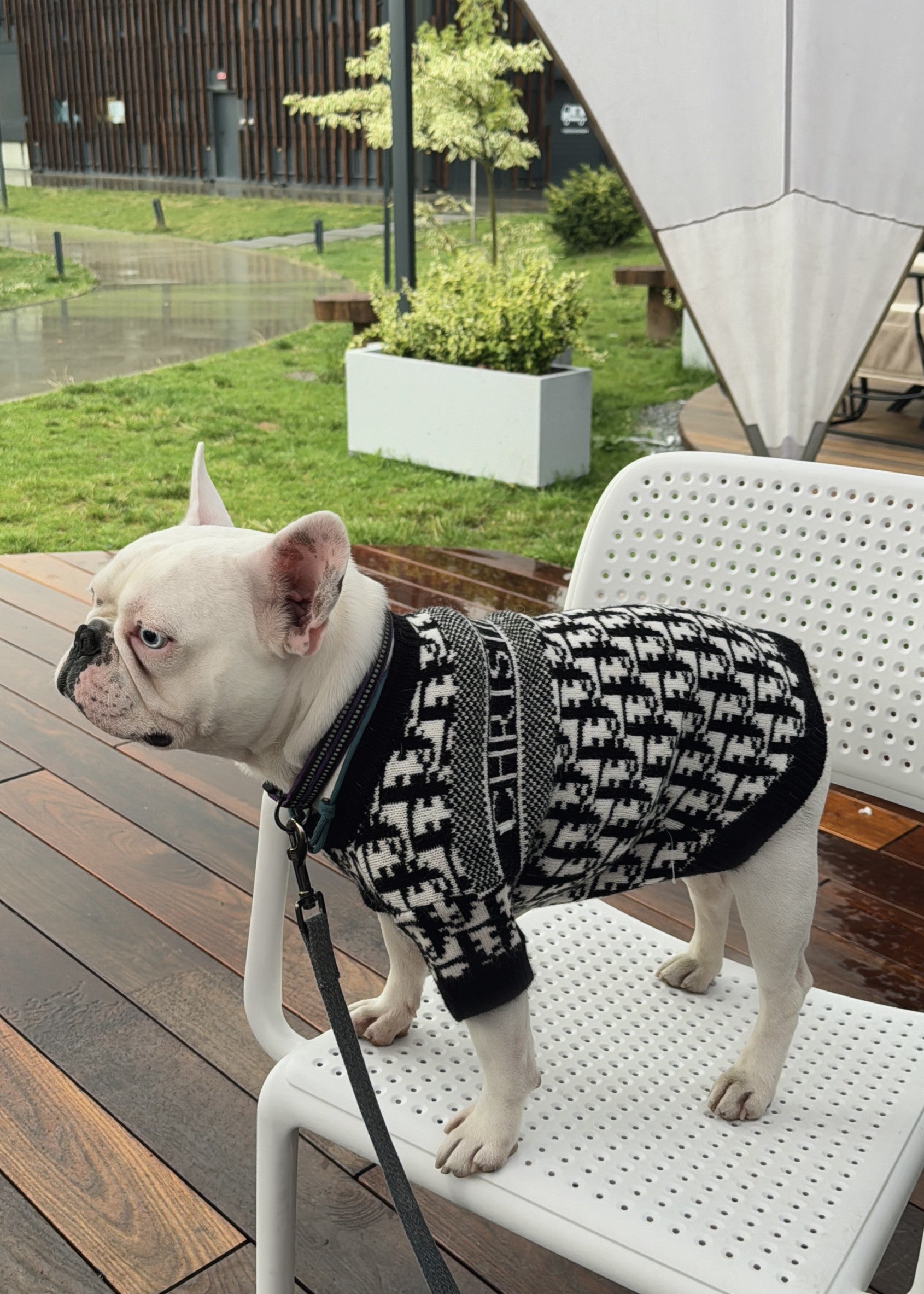 Светр чорного кольору з принтом Dior