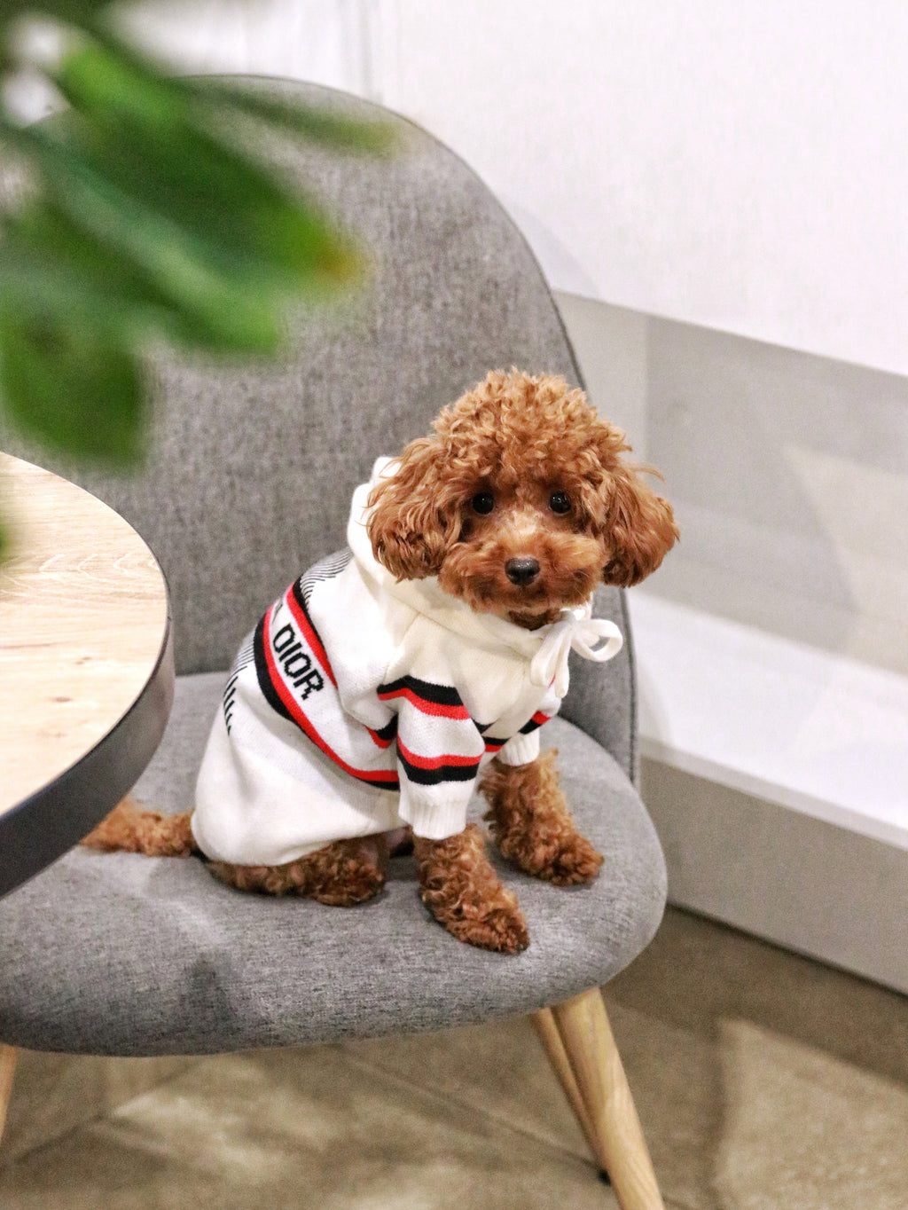 Худі білого кольору з принтом Dior