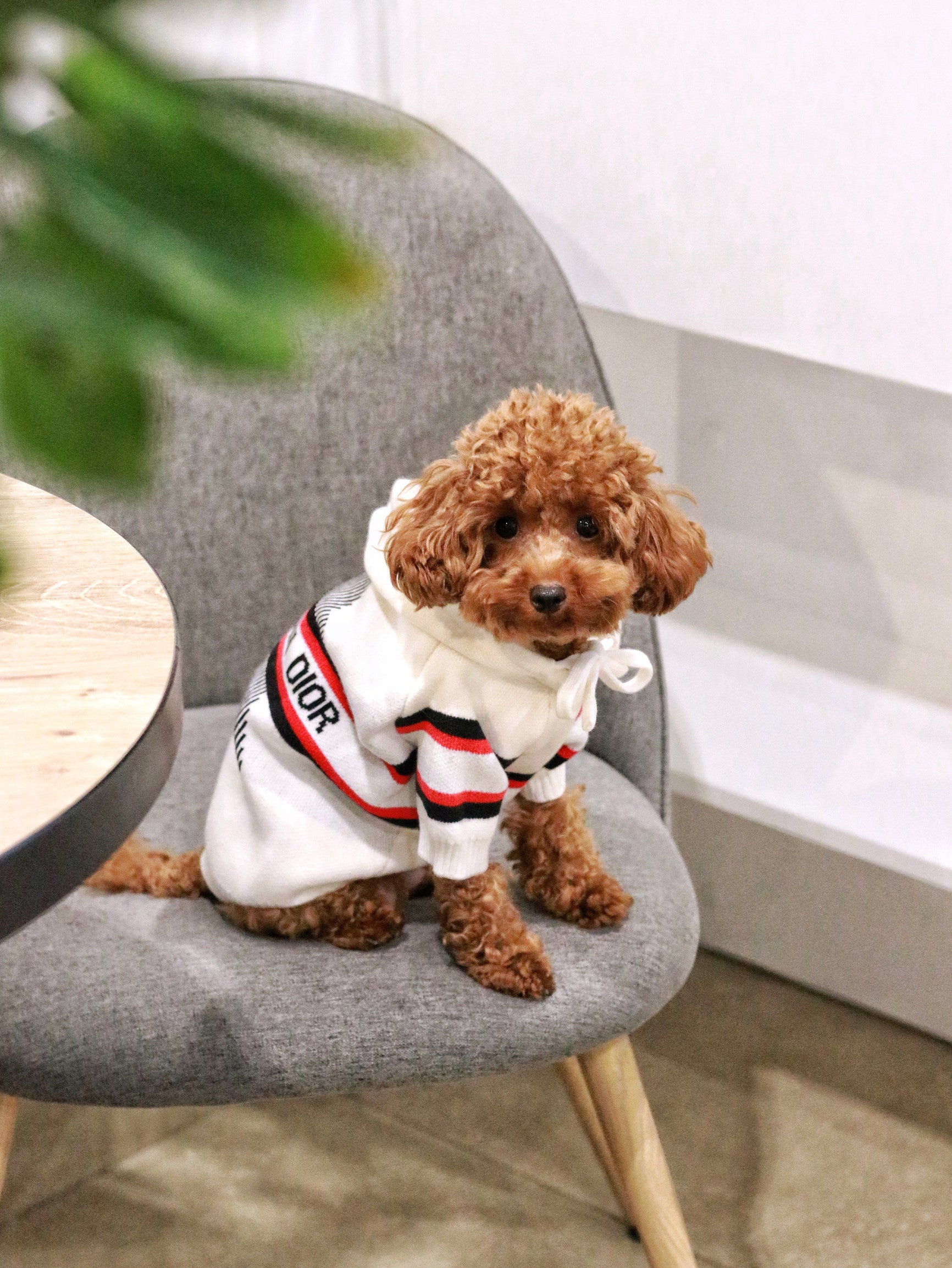 Худі білого кольору з принтом Dior