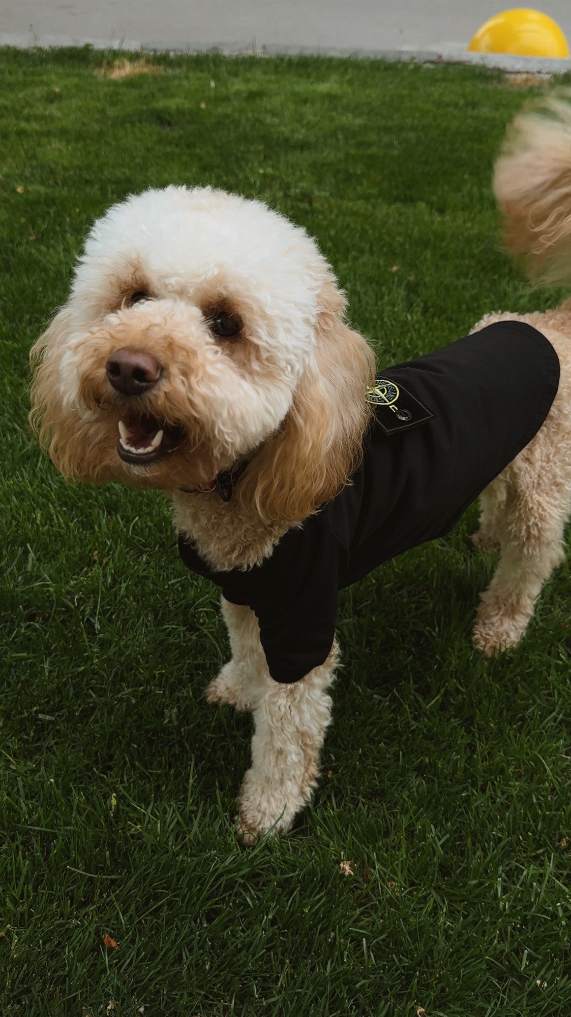 Футболка чорного кольору Stone Island