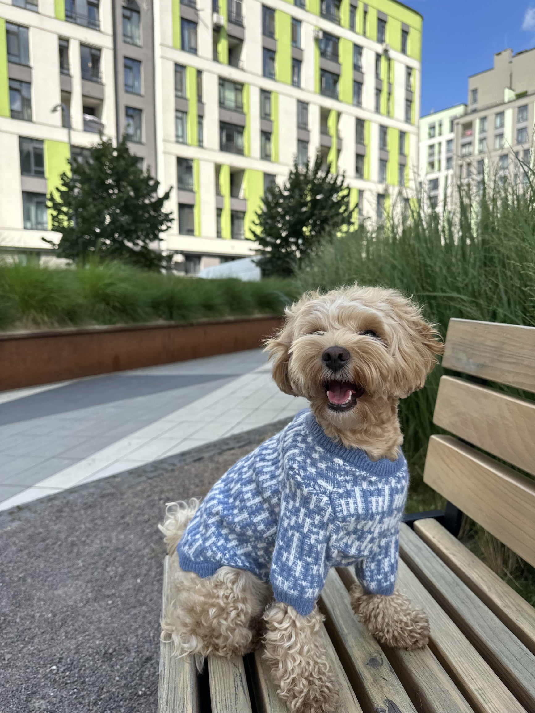 Светр блакитного кольору з ґудзиками на спинці