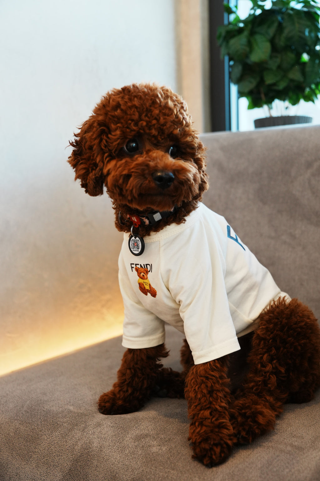 Cream T-shirt with Teddy Fendi print