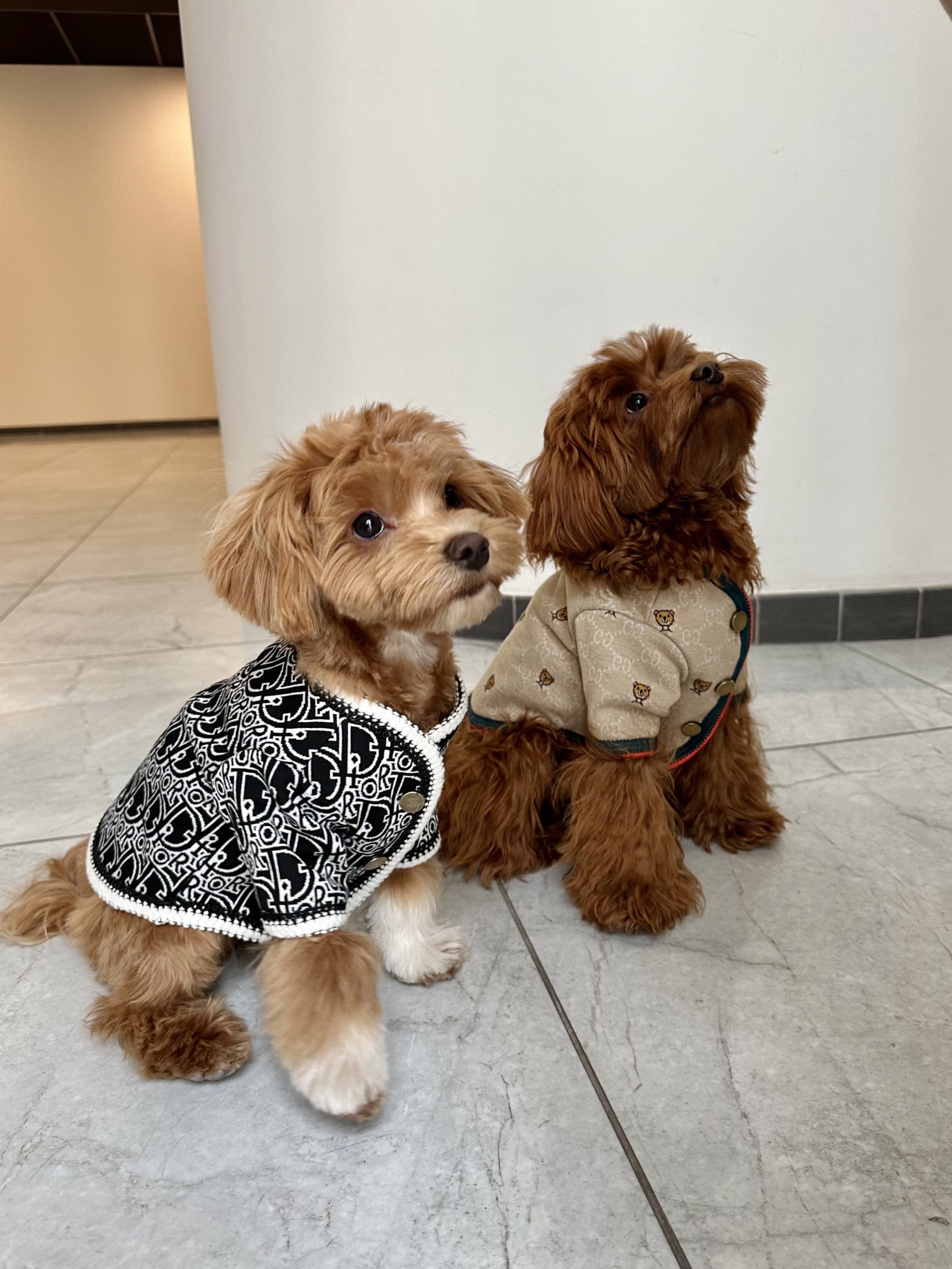 Кардиган бежевого кольору з принтом Gucci Bear