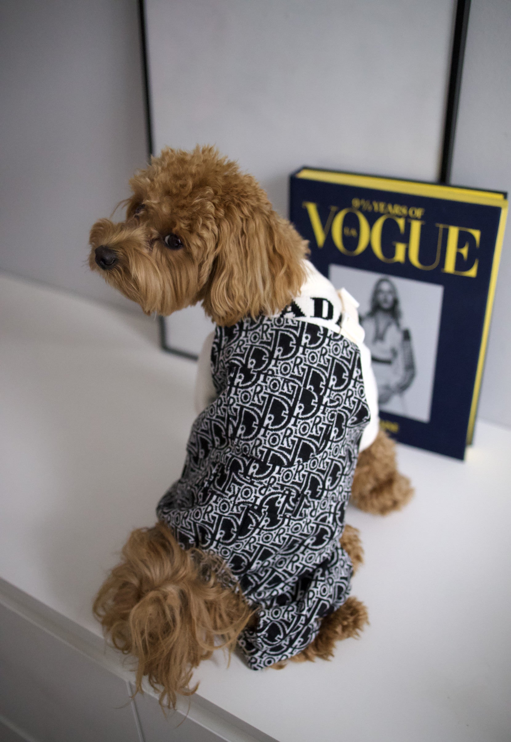 Штани чорного кольору Dior Style