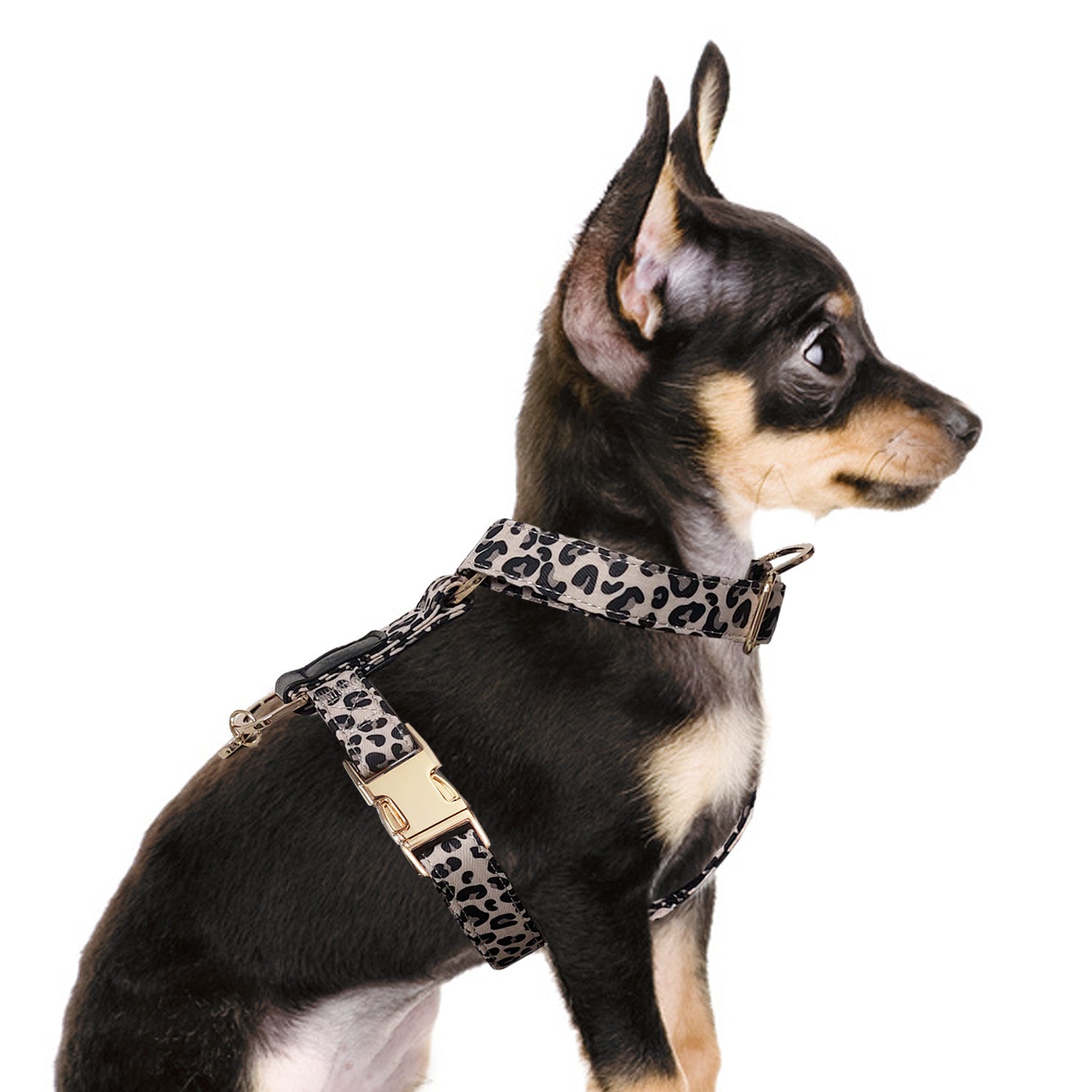 Шлея Milk&Pepper - Kenya