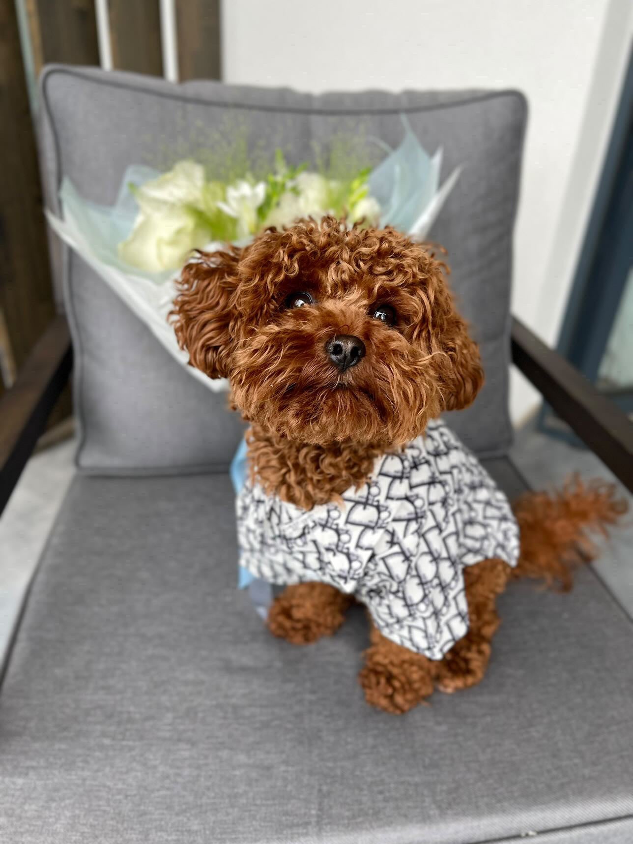 Сорочка білого кольору з чорним принтом Dior