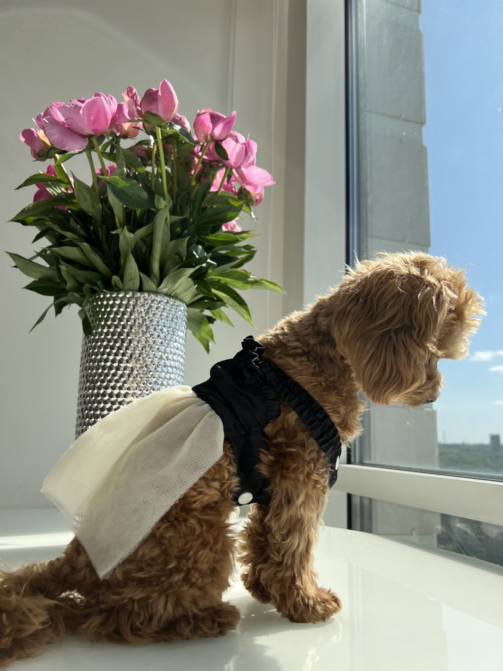 Сукня чорного кольору Elegance Noir