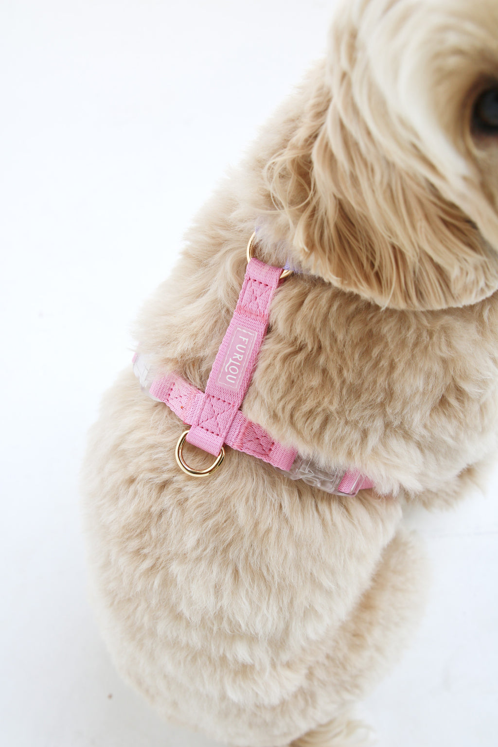 Furlou Dog Harness - Lavender and Rose