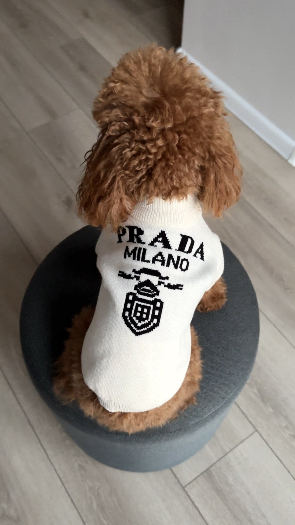 Светр білого кольору з принтом Prada