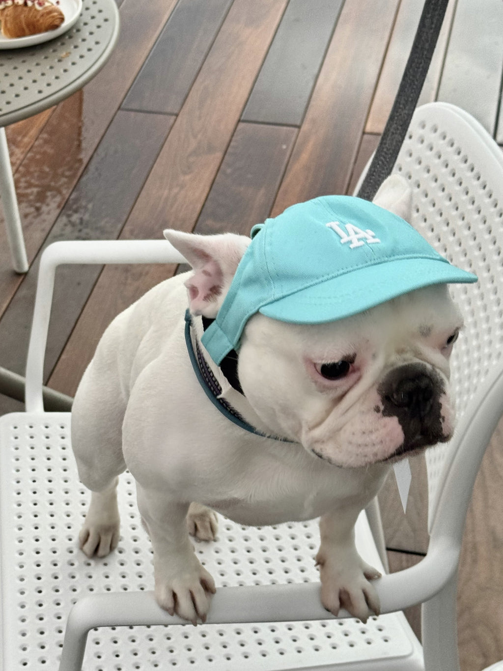 Кепка бірюзового кольору LA