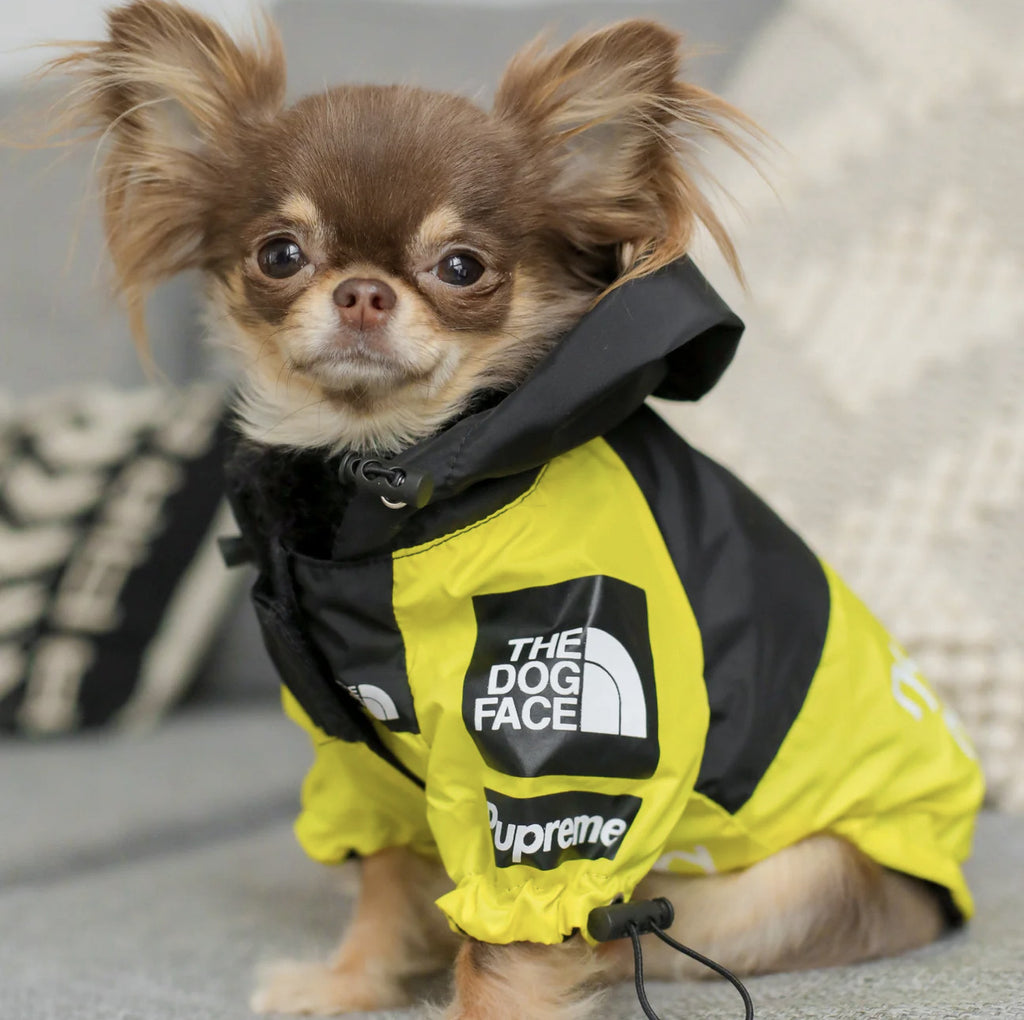 Yellow raincoat with The Dog Face print