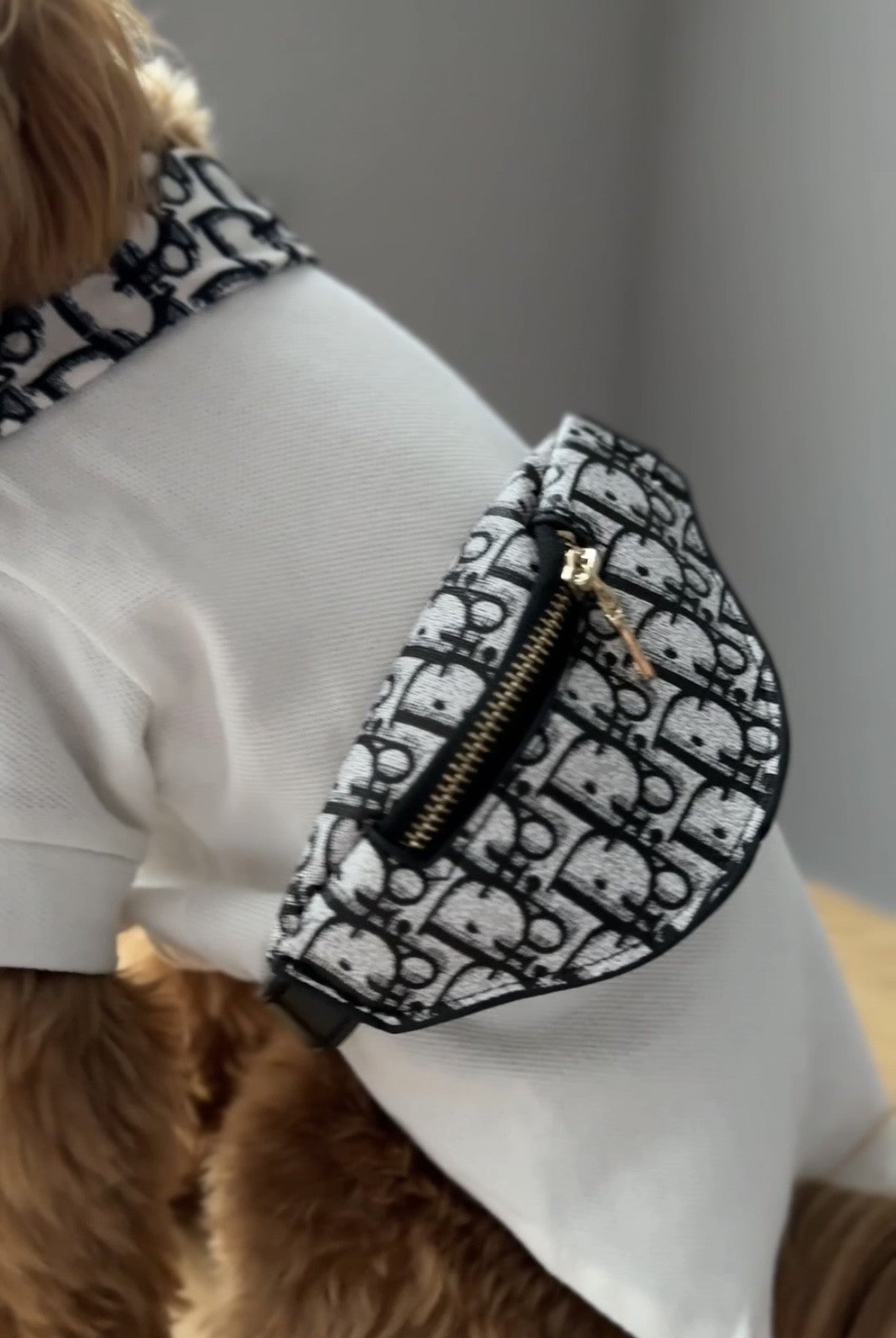 Бананка білого кольору з принтом Dior