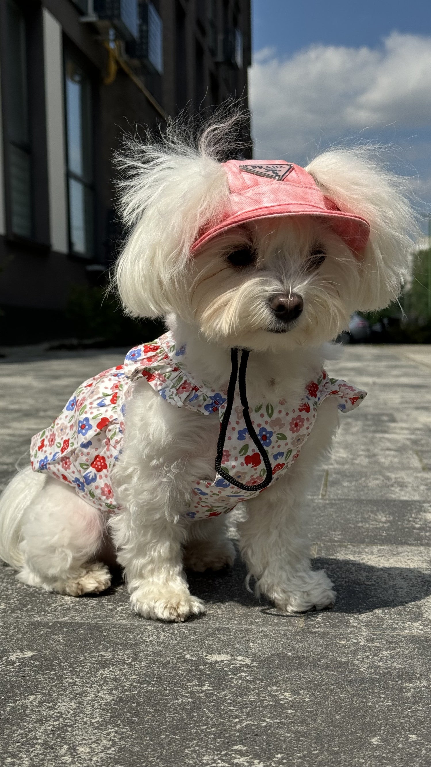 Панамка рожевого кольору Prada