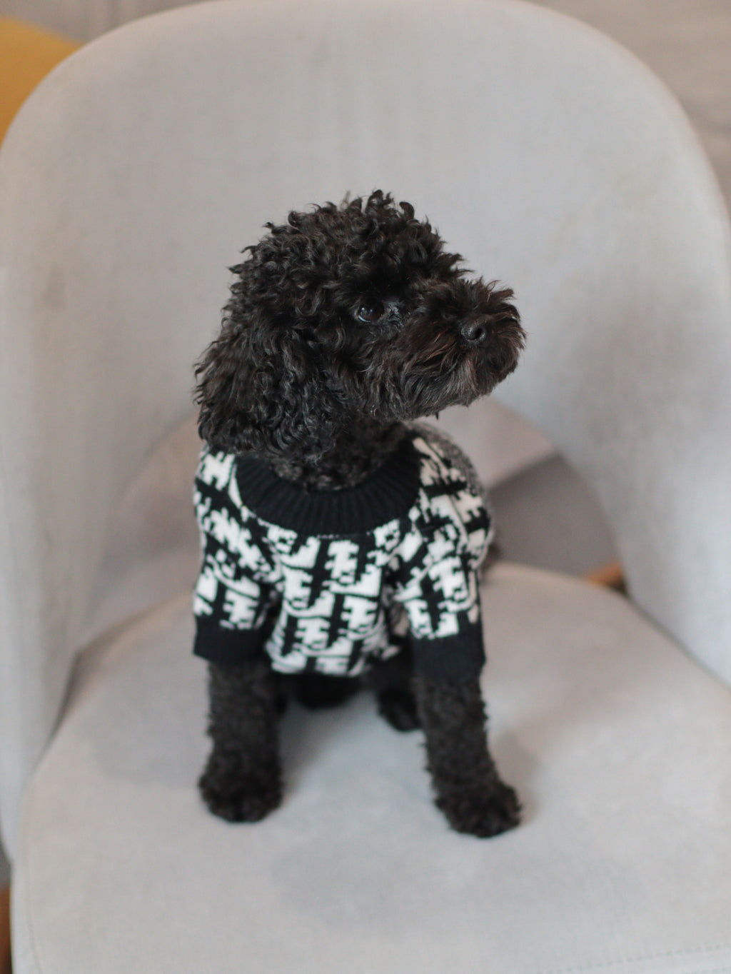 Светр чорного кольору з принтом Dior