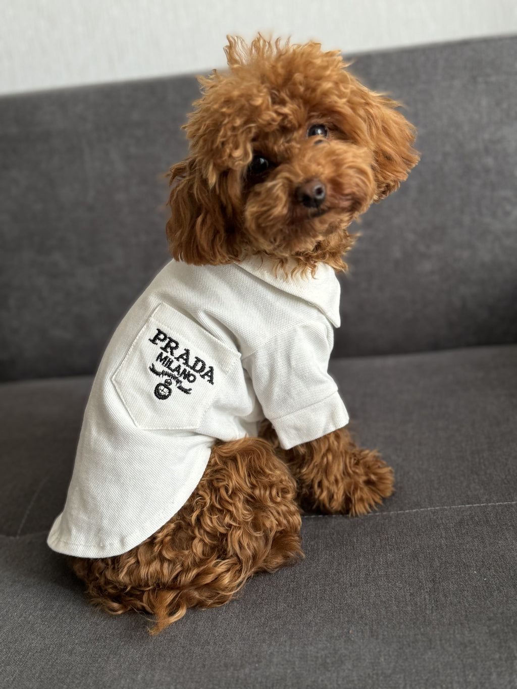 White polo shirt with Prada print