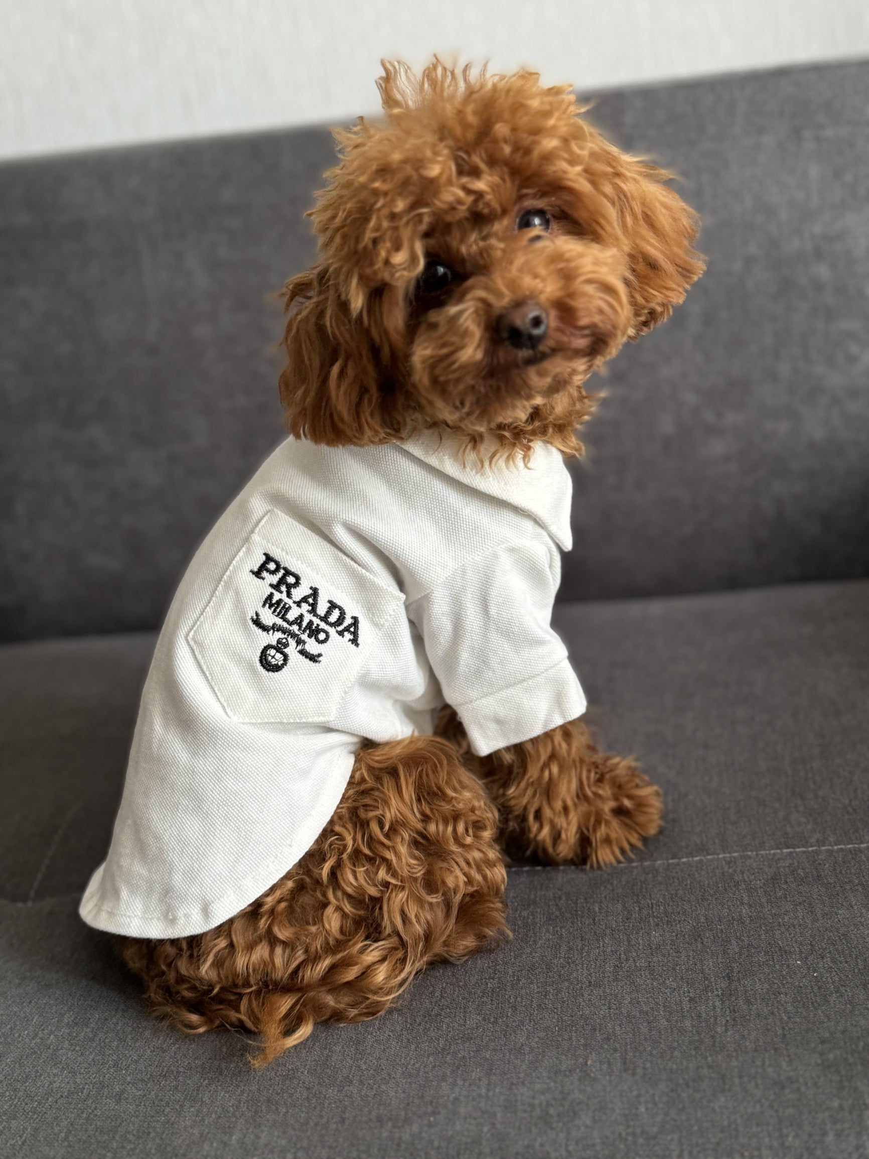 Футболка-поло білого кольору з принтом Prada