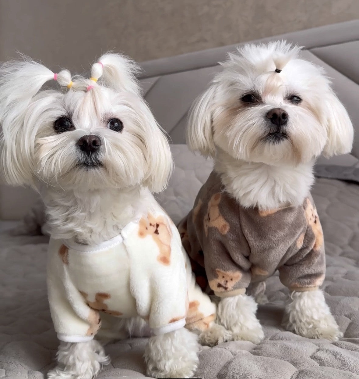 Комбінезон-піжама коричневого кольору Teddy Choco