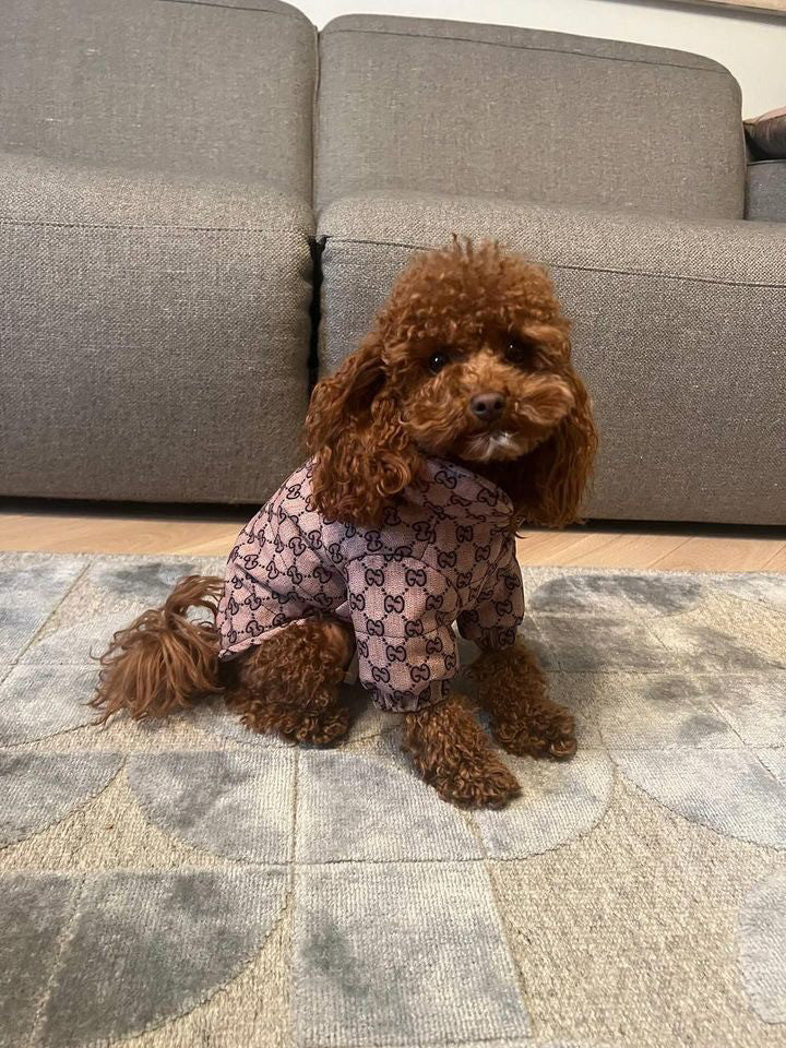 Куртка коричневого кольору з принтом Gucci Monogram