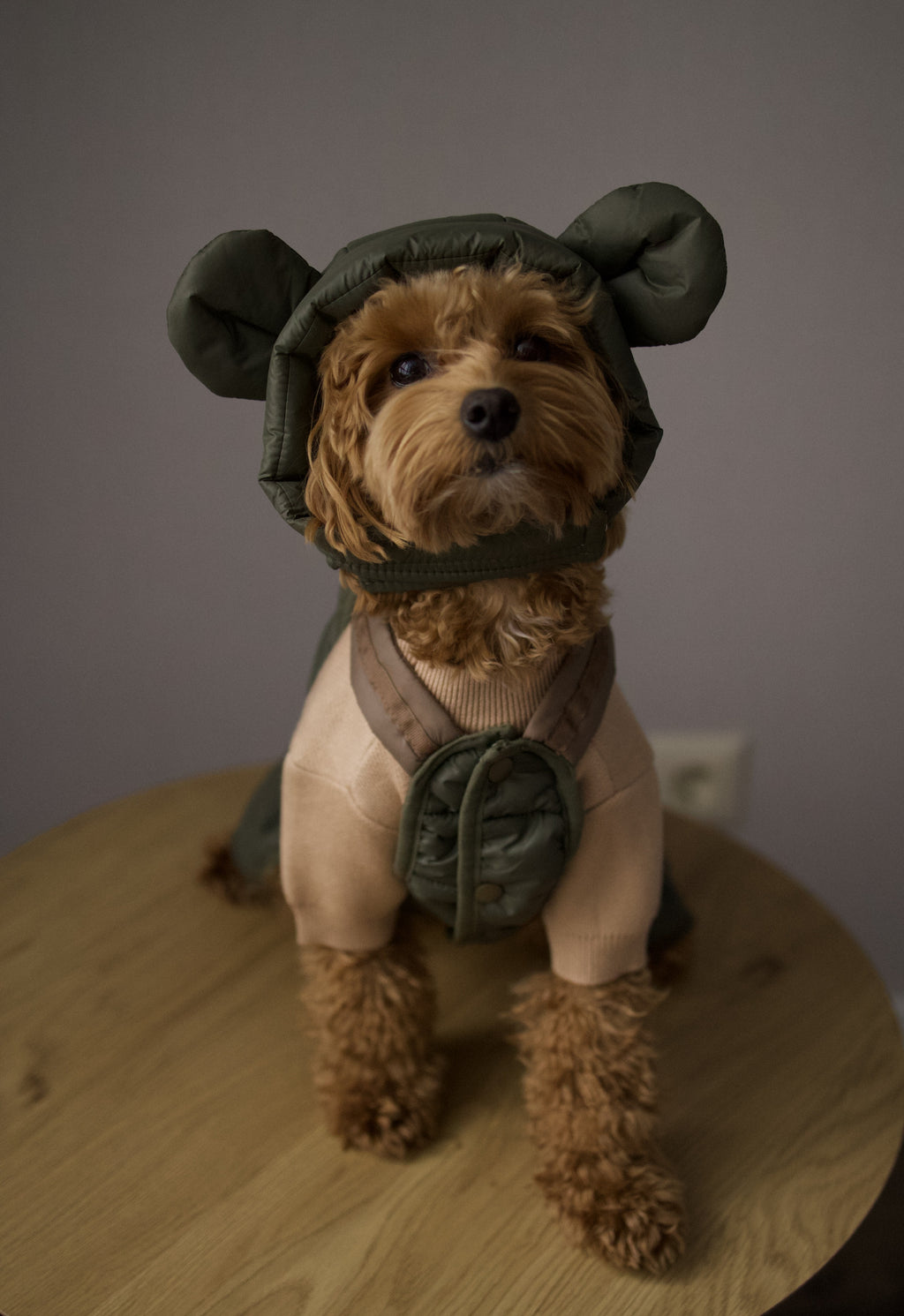 Штани зеленого кольору Cheepet